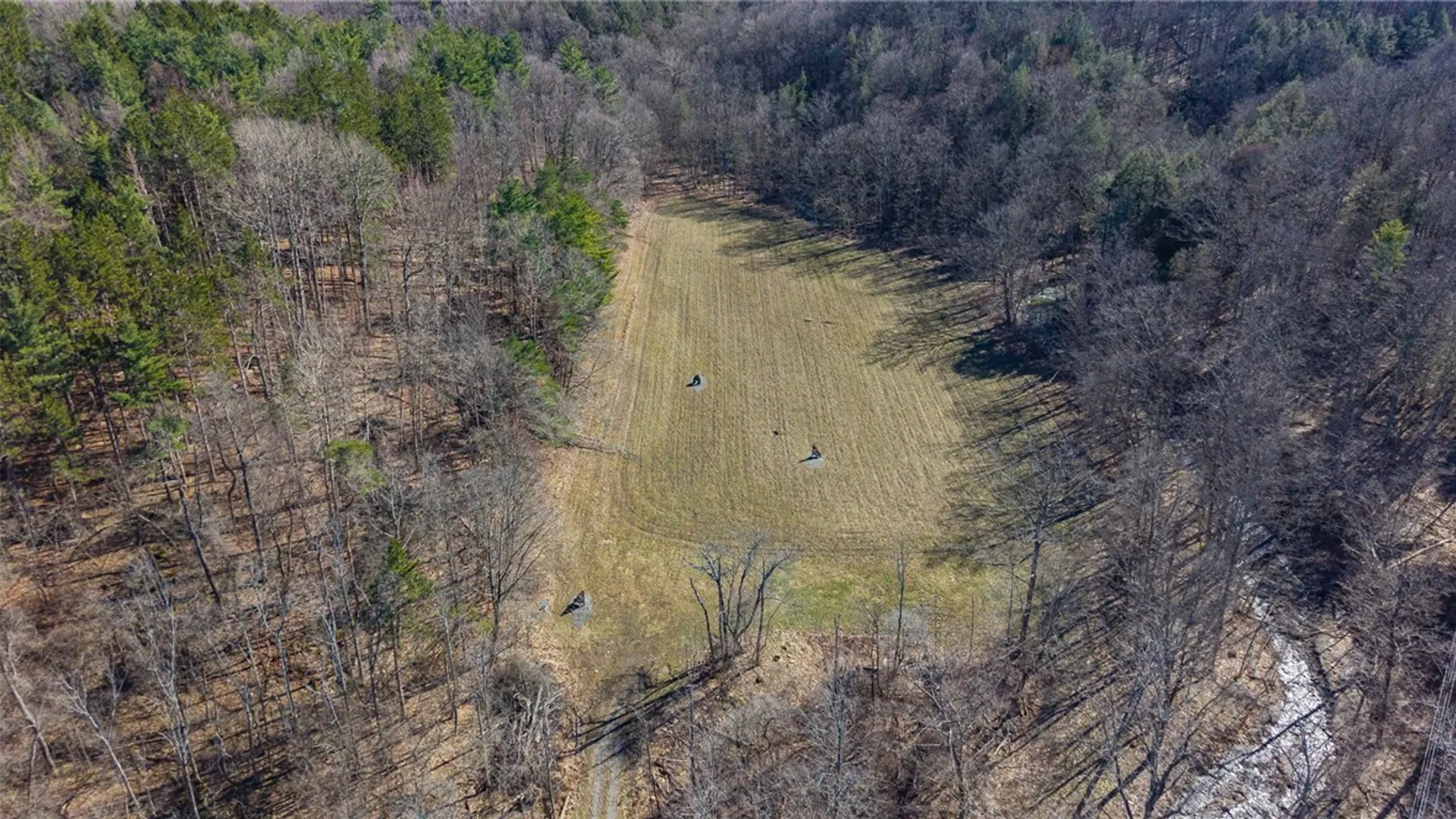 Property at 7209 County Road 32, Bristol, NY 14424 6