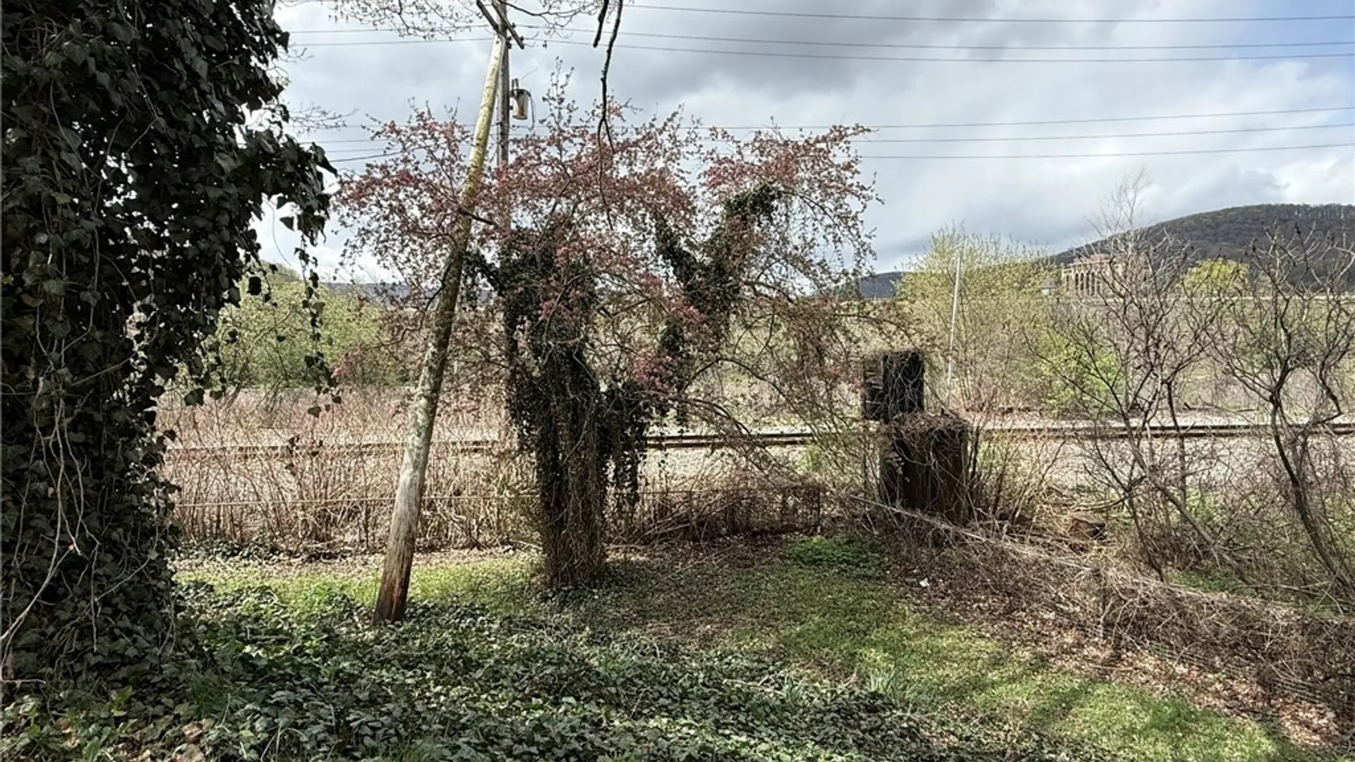 Property at 23 River Street, Bradford City, PA 16701 39