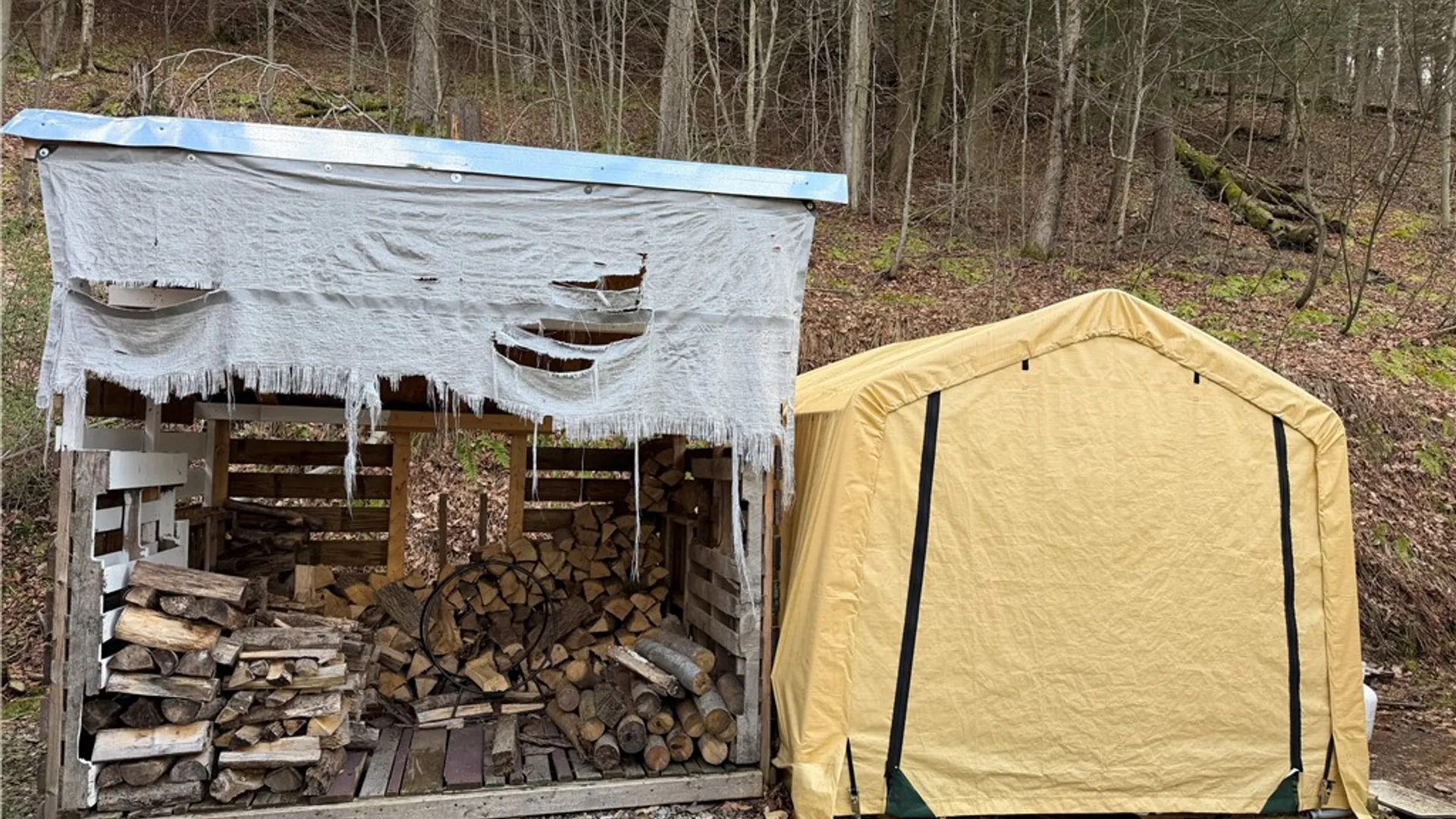 Property at 10856 Schwingle Road, Prattsburgh, NY 14873 14