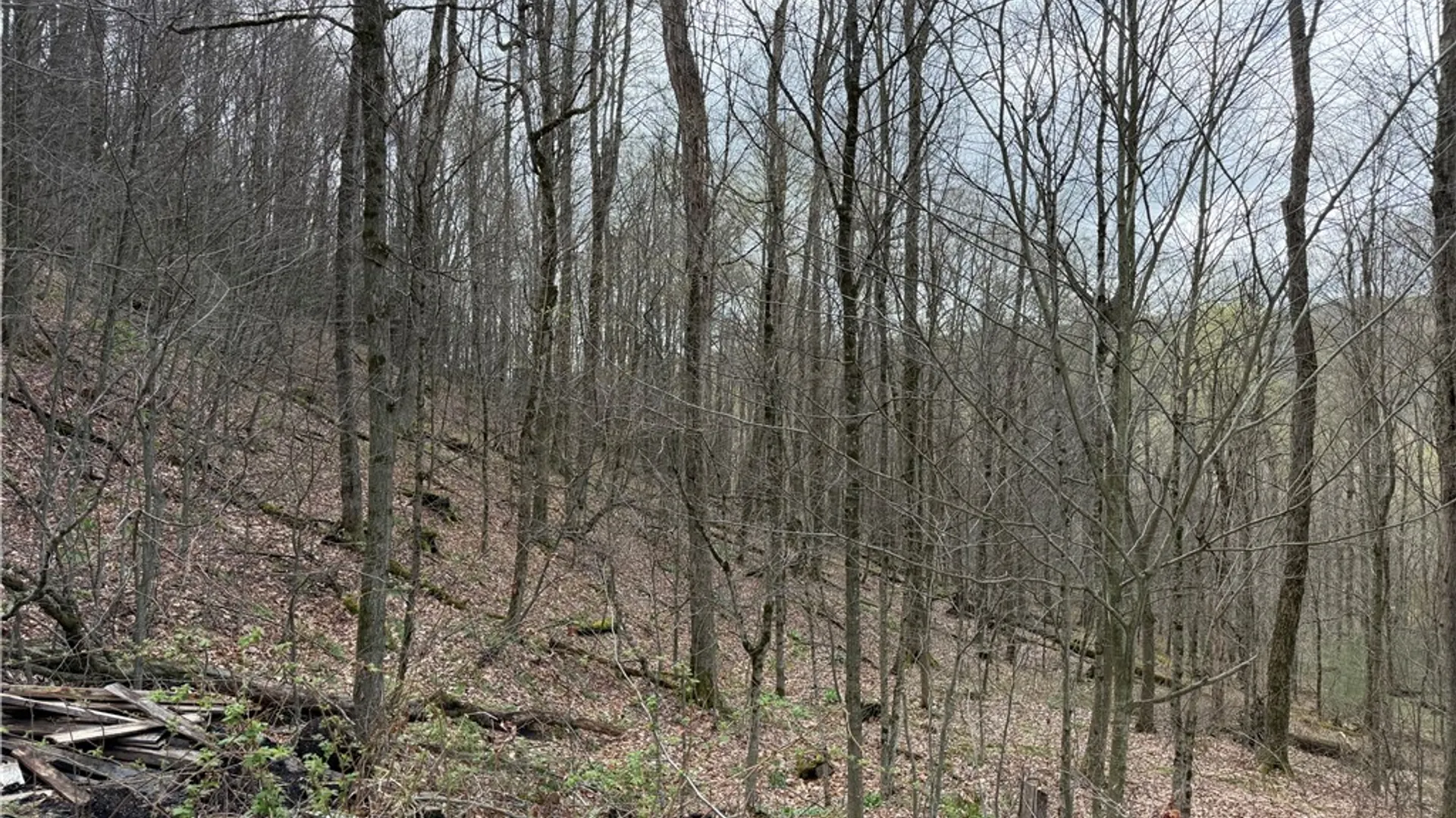 Property at 10856 Schwingle Road, Prattsburgh, NY 14873 36