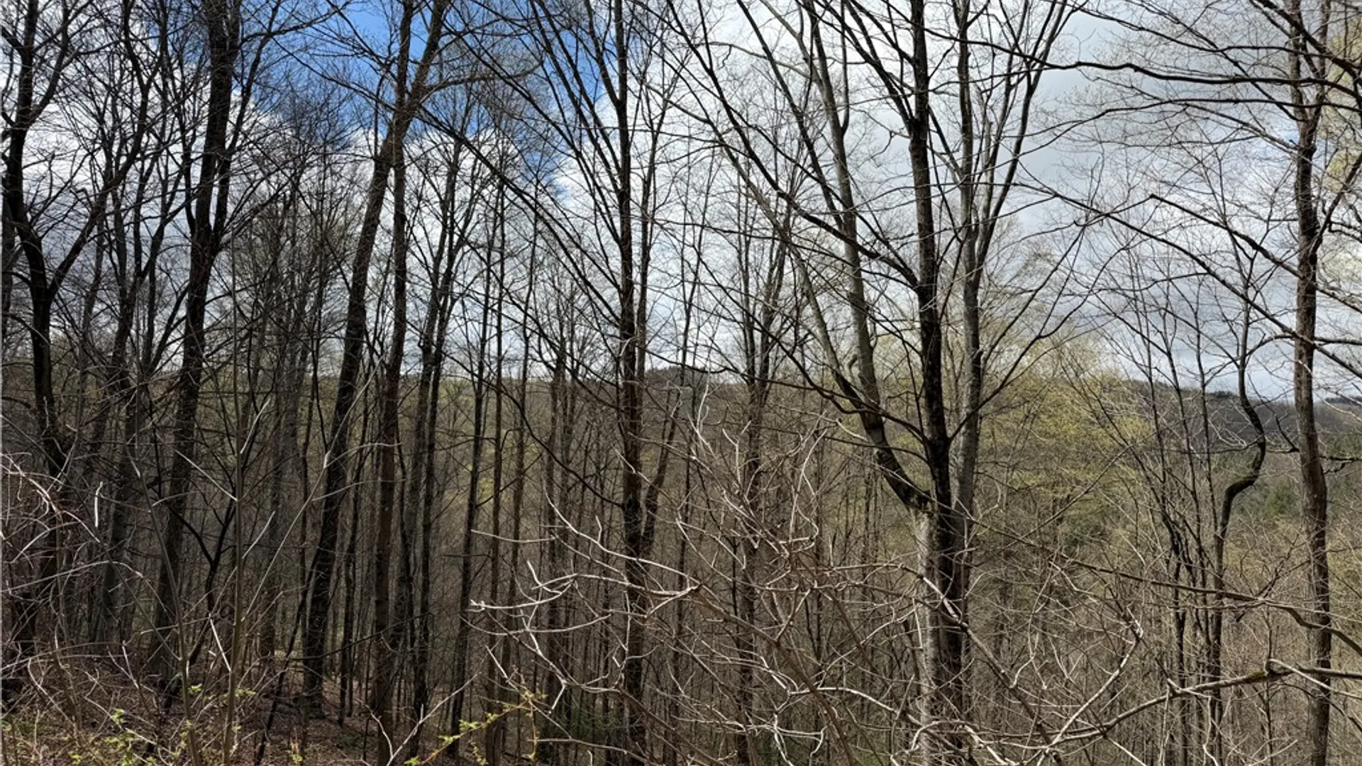 Property at 10856 Schwingle Road, Prattsburgh, NY 14873 39