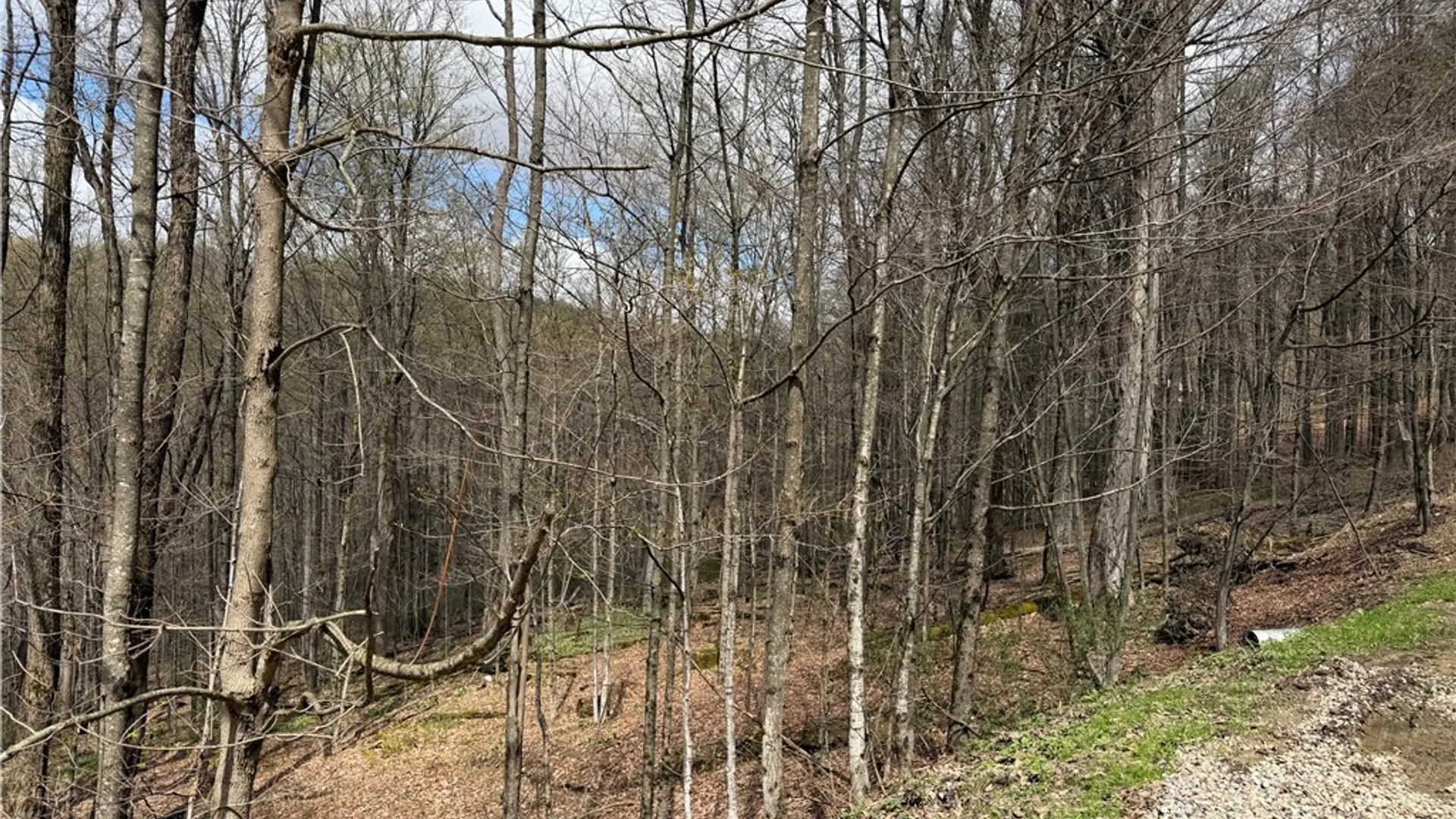 Property at 10856 Schwingle Road, Prattsburgh, NY 14873 40