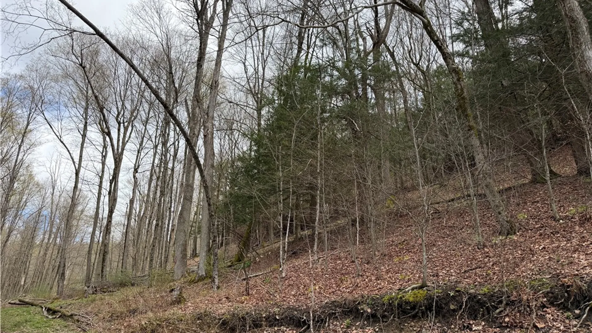 Property at 10856 Schwingle Road, Prattsburgh, NY 14873 42