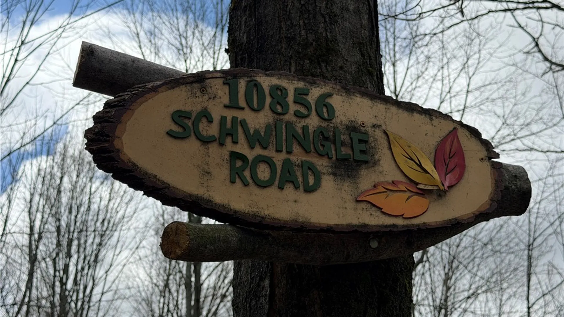 Property at 10856 Schwingle Road, Prattsburgh, NY 14873 46