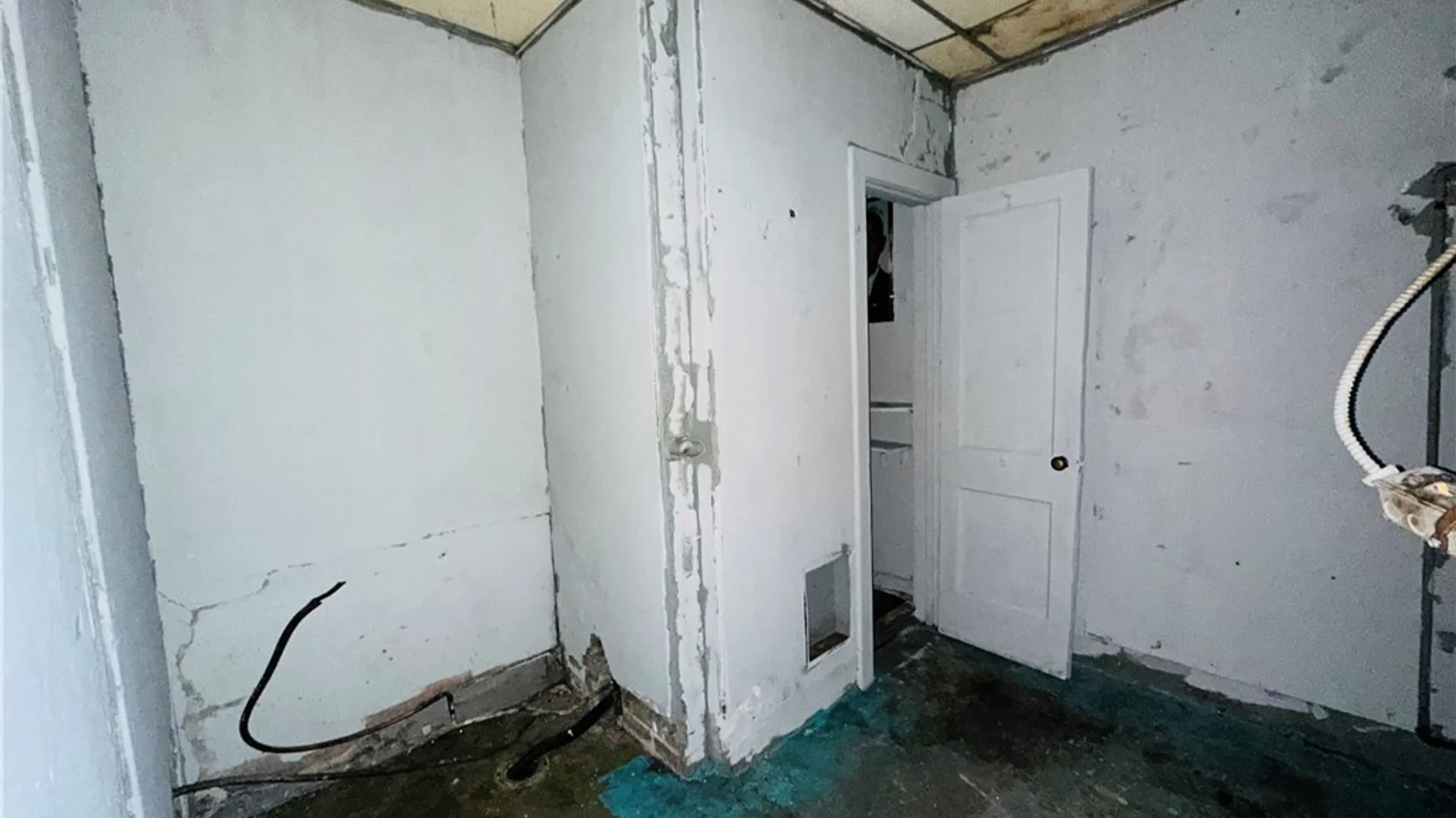 Property at 1202 Lovejoy Street, Buffalo, NY 14206 16