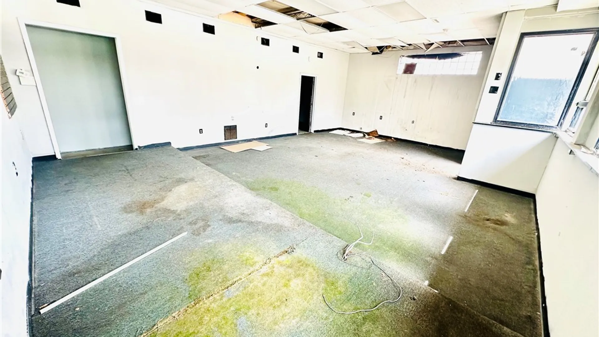 Property at 1202 Lovejoy Street, Buffalo, NY 14206 7