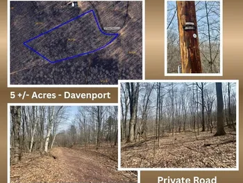 653 Frank Briggs Road, Davenport, NY 13820