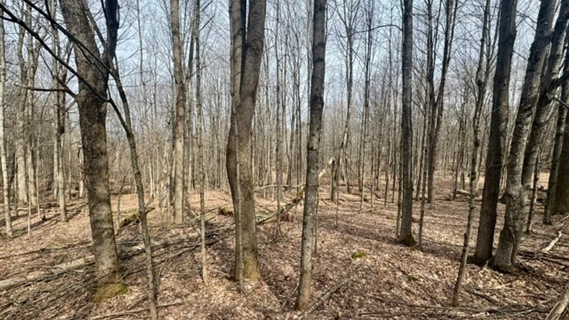 Property at 653 Frank Briggs Road, Davenport, NY 13820 47