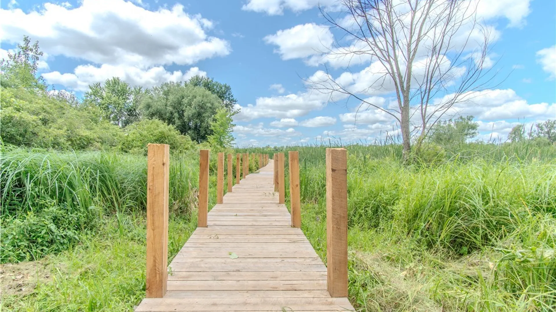 Property at 58 Fitton Road, Hammond, NY 13646 43