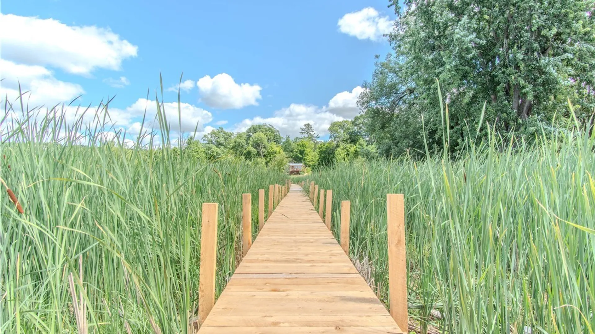 Property at 58 Fitton Road, Hammond, NY 13646 44