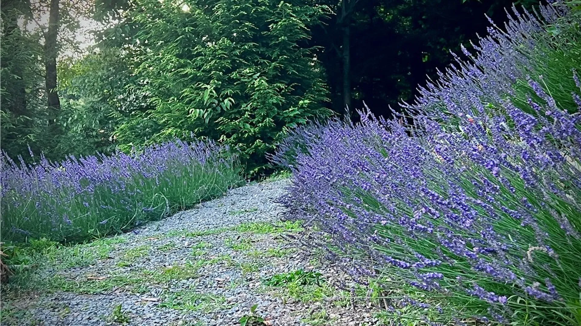 Property at 17 Smith Lane, Williamstown, NY 13302 30