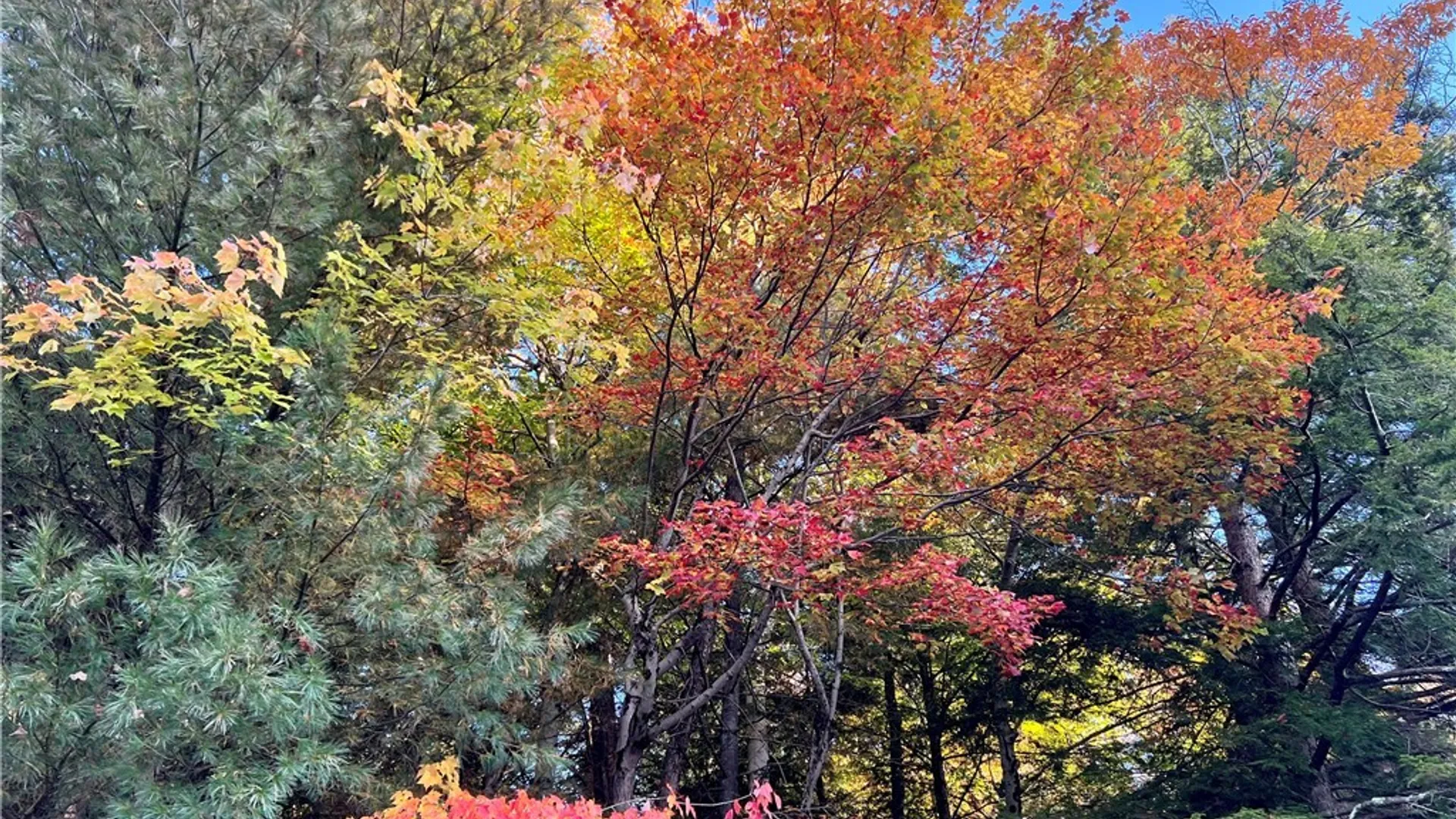 Property at 17 Smith Lane, Williamstown, NY 13302 45