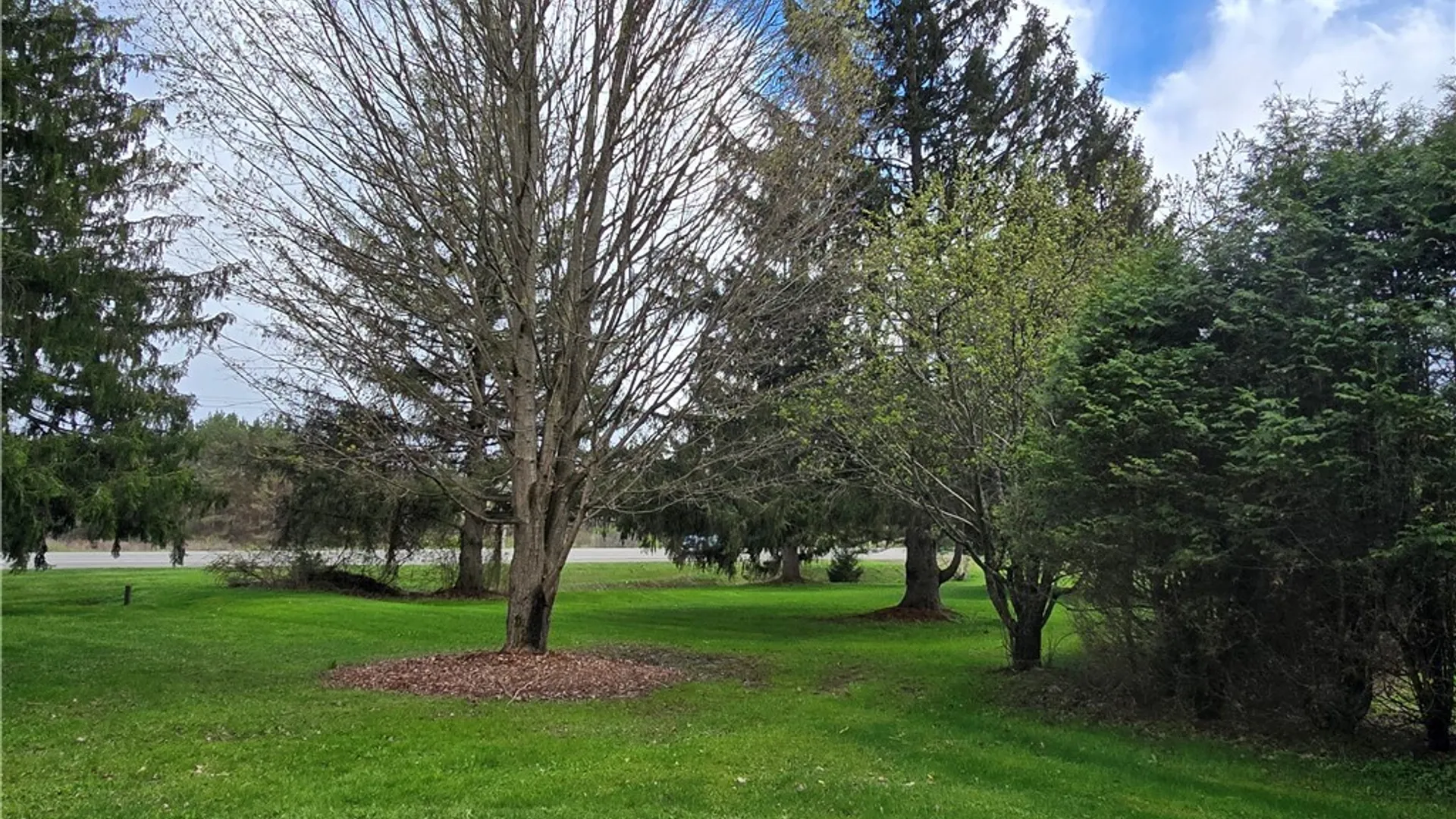 Property at 5266 Maple Lane, Cuba, NY 14727 7