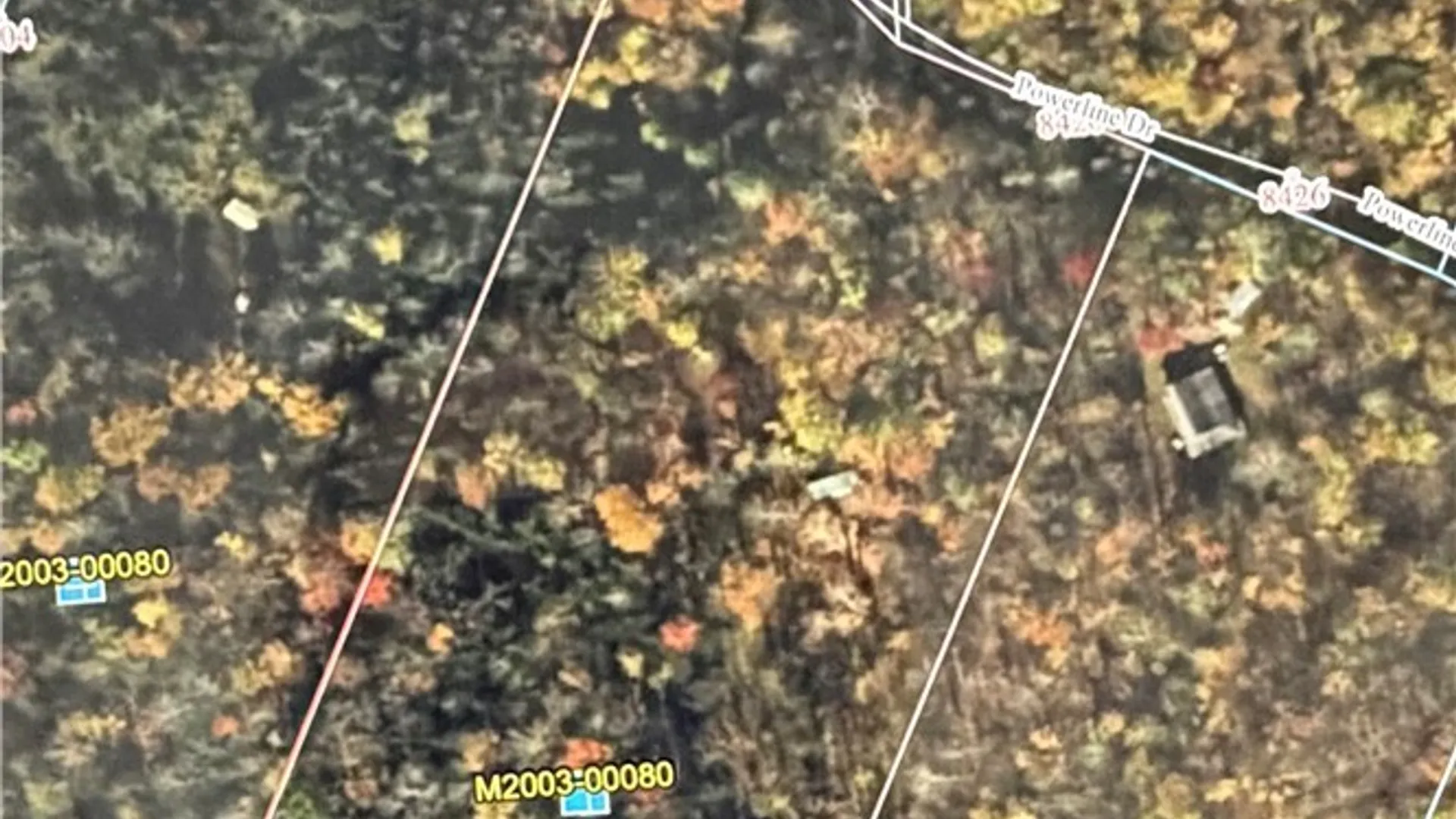 Property at 8420 Power Line Drive, Diana, NY 13648 2