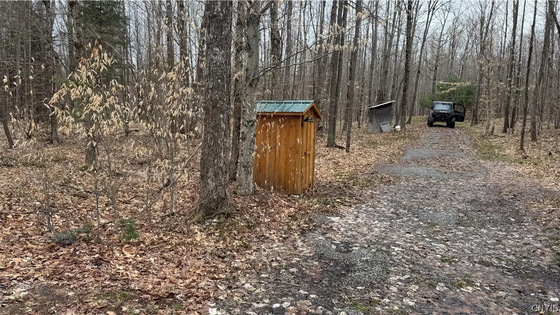 Property at 8420 Power Line Drive, Diana, NY 13648 3