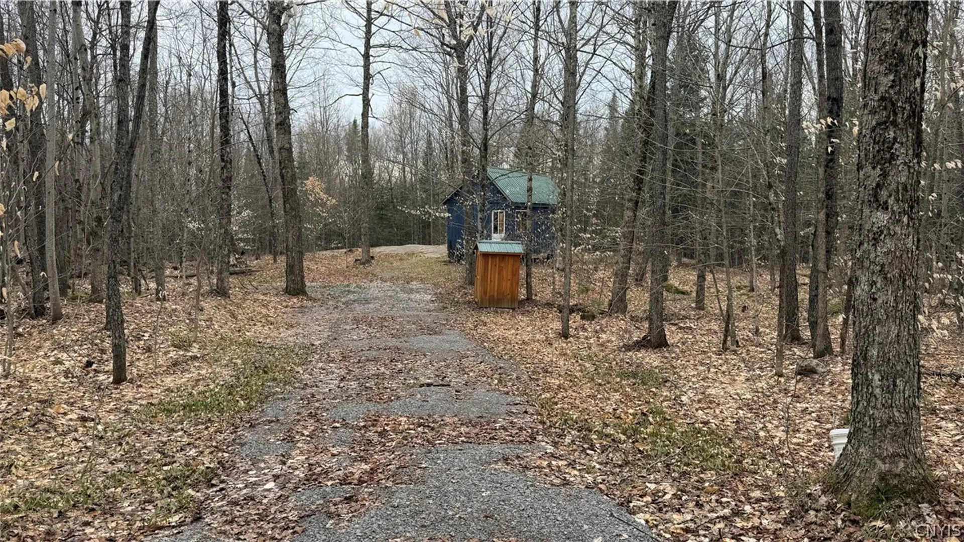 Property at 8420 Power Line Drive, Diana, NY 13648 4