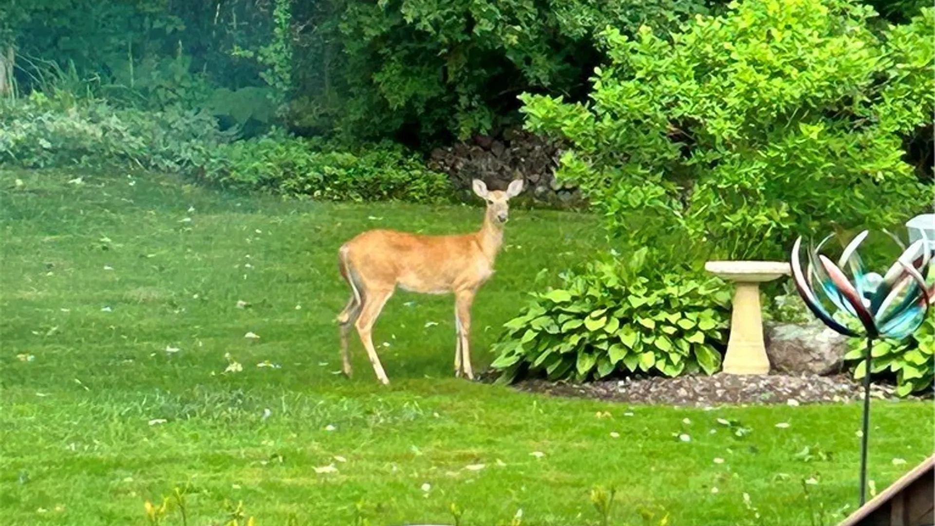 Property at 51 Patrick Circle, Fulton, NY 13069 22