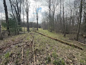 8314 Zimmerman Road, Boston, NY 14025