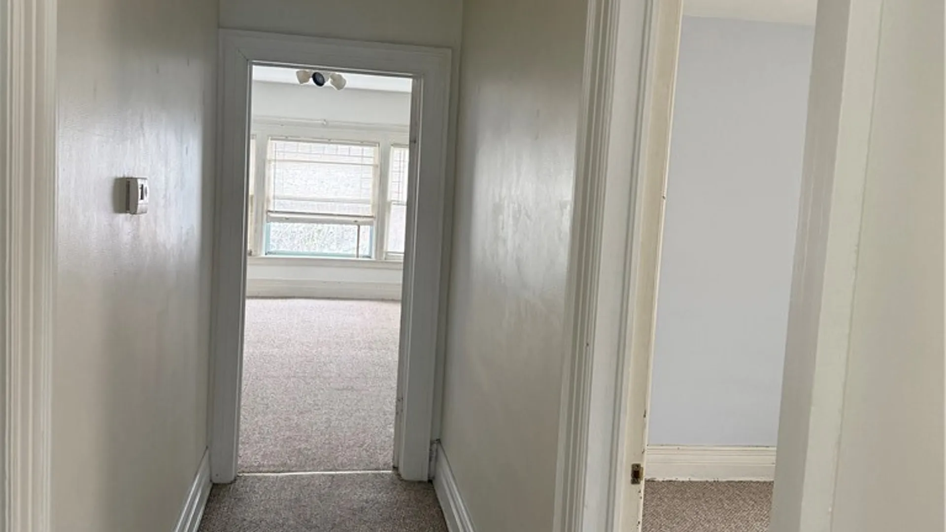 Property at 344 Elmwood Avenue, Buffalo, NY 14222 5