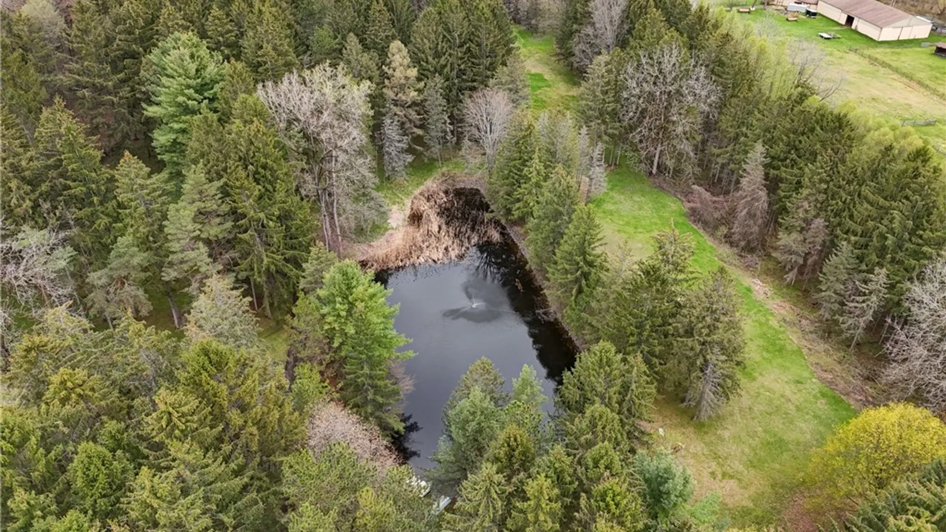 Property at 260 Mendon Center Road, Mendon, NY 14472 3