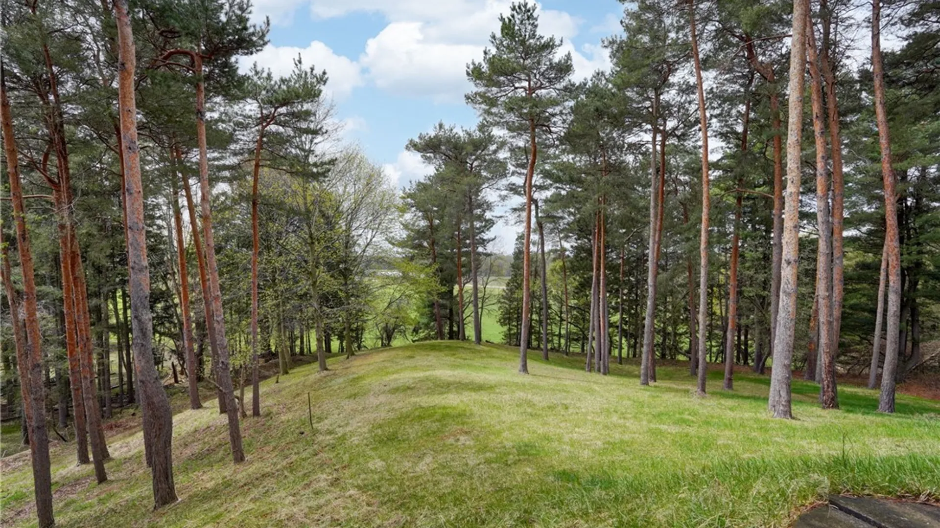 Property at 260 Mendon Center Road, Mendon, NY 14472 36