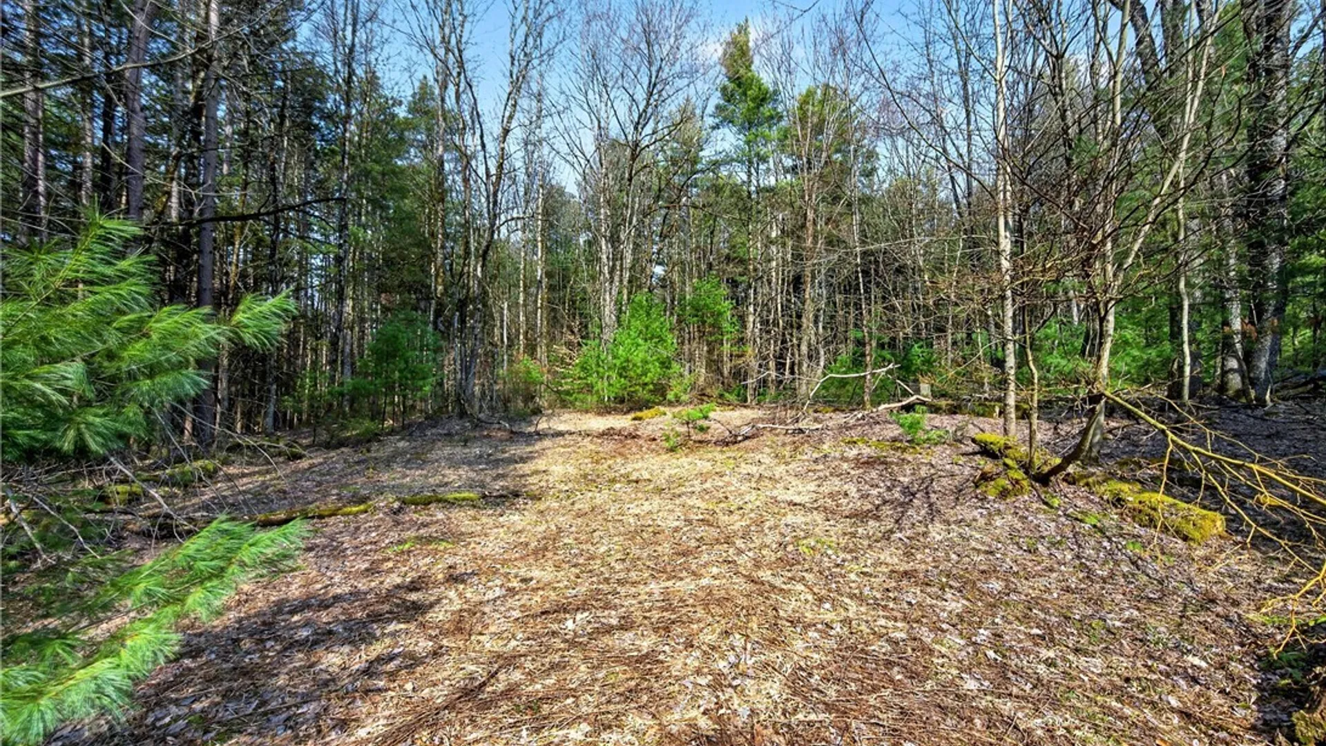 Property at Salt Road, Constantia, NY 13044 3