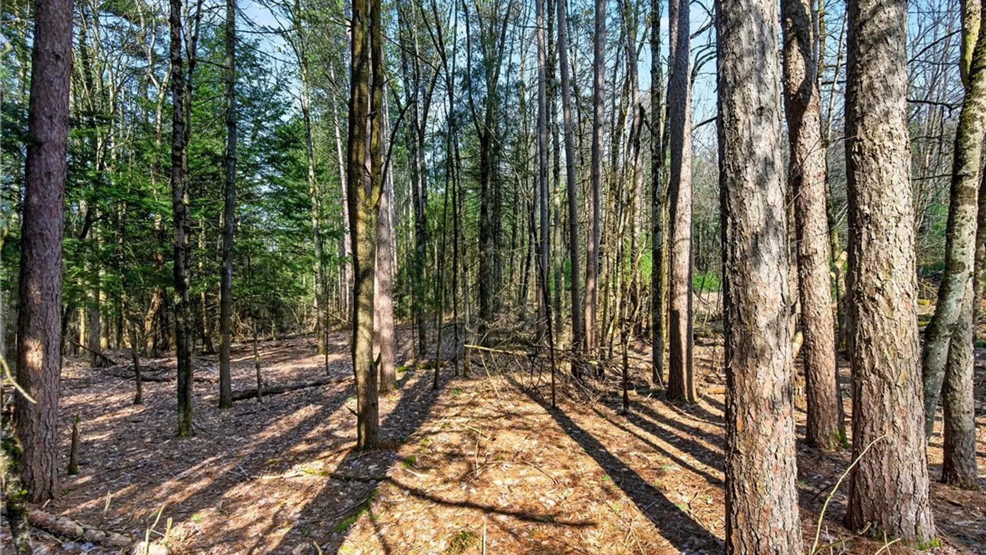 Property at Salt Road, Constantia, NY 13044 4