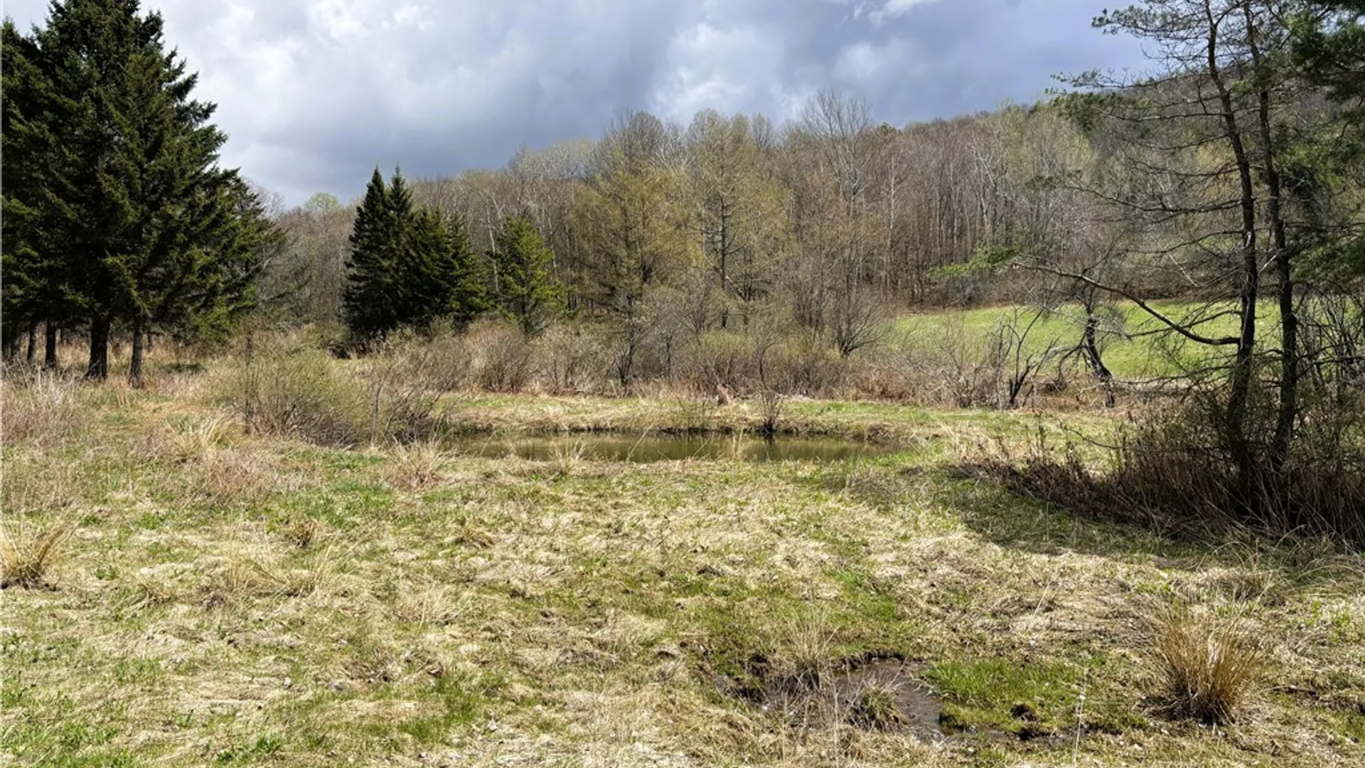 Property at 356 Honey Hill Road, Roseboom, NY 13320 26