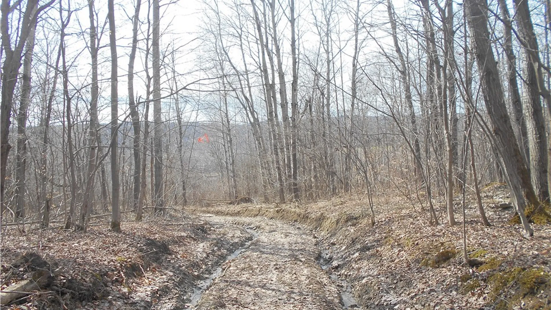 Property at 0 Bakerstand Road, Machias, NY 14101 12