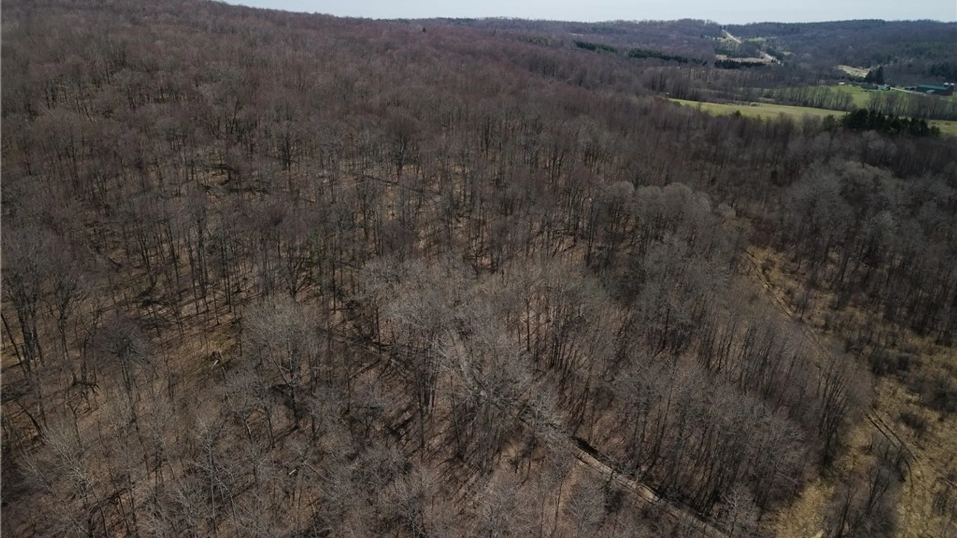 Property at 0 Bakerstand Road, Machias, NY 14101 3