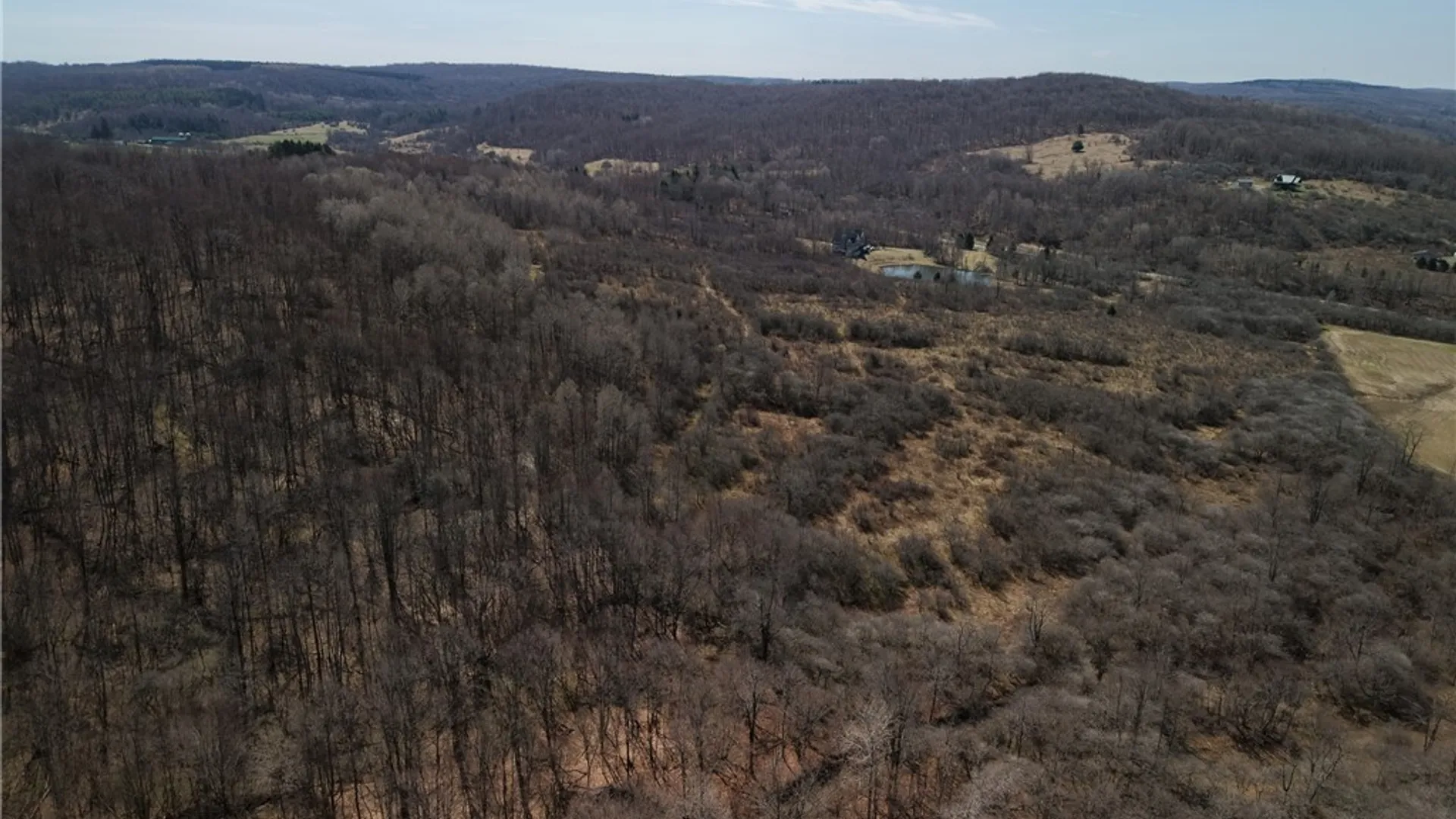 Property at 0 Bakerstand Road, Machias, NY 14101 7