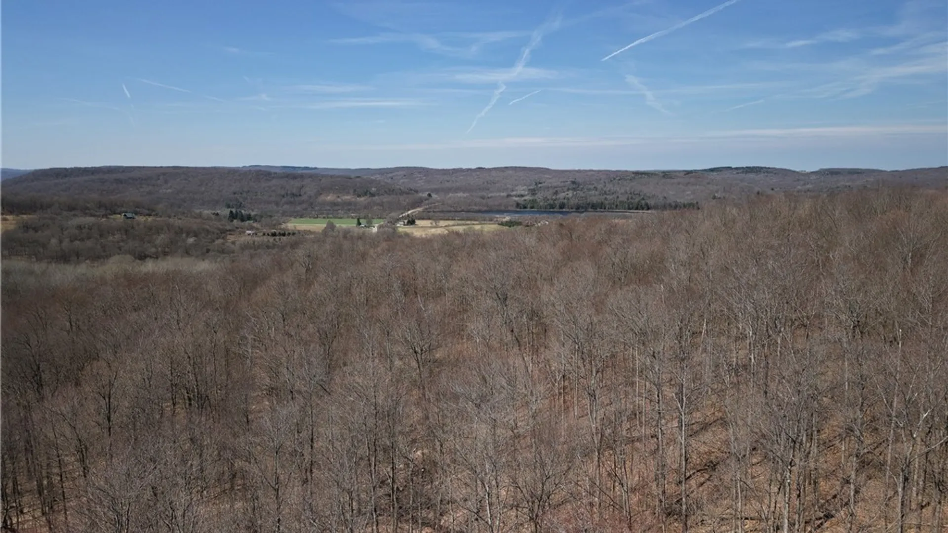 Property at 0 Bakerstand Road, Machias, NY 14101 8