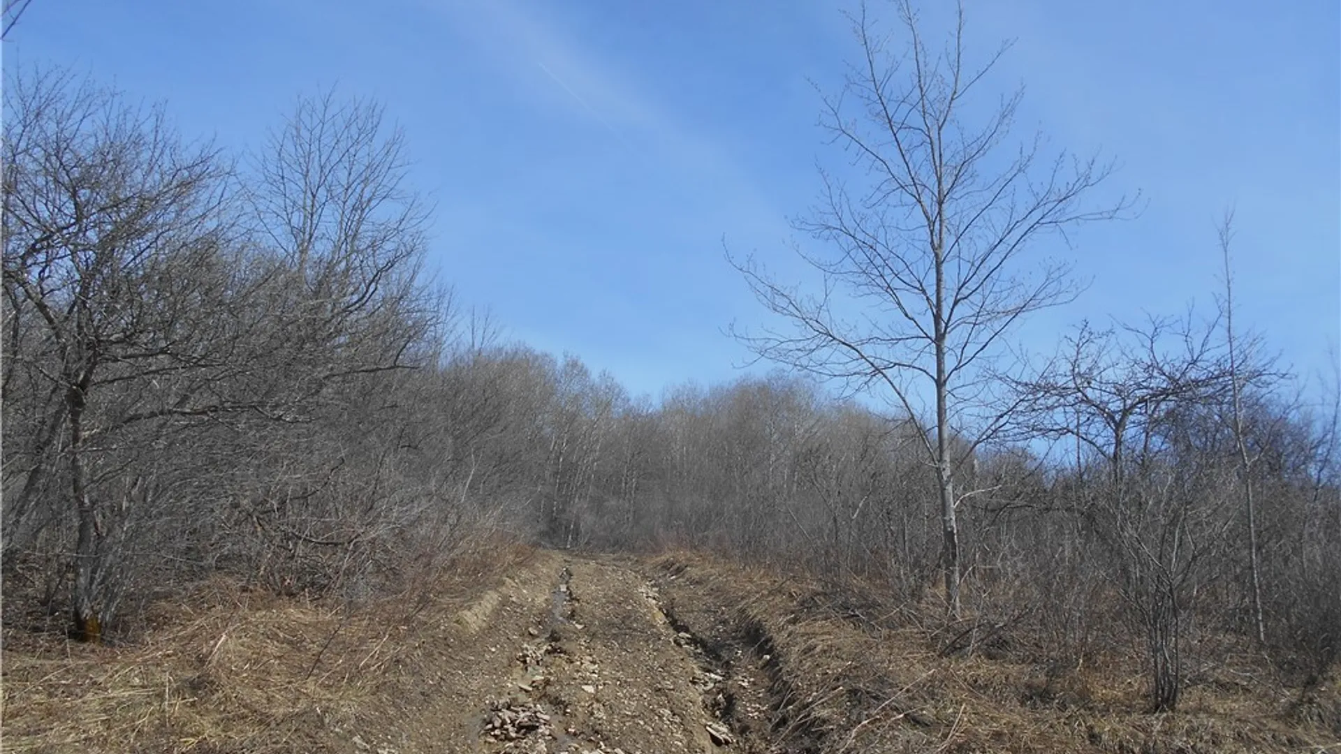 Property at 0 Bakerstand Road, Machias, NY 14101 9