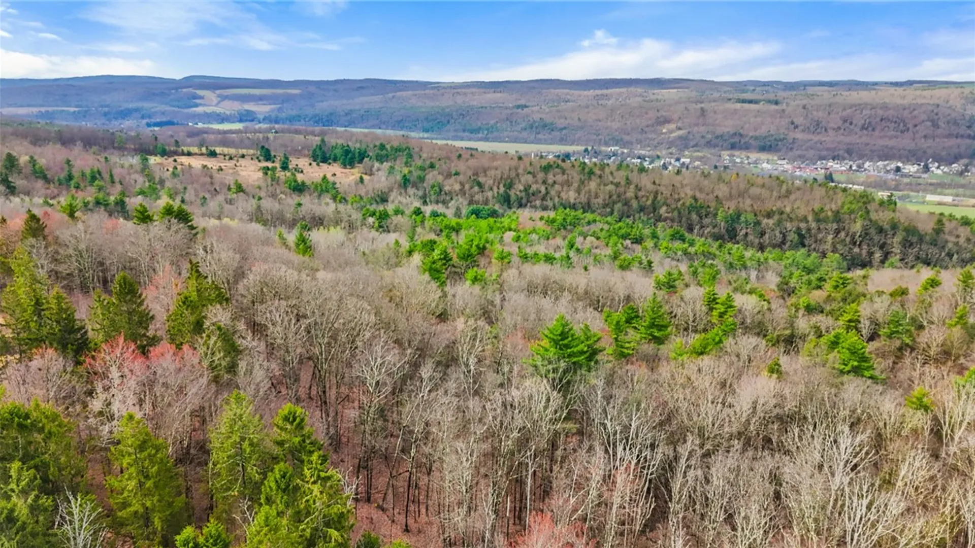 Property at 0 Reservior Hill Road, Candor, NY 13743 10