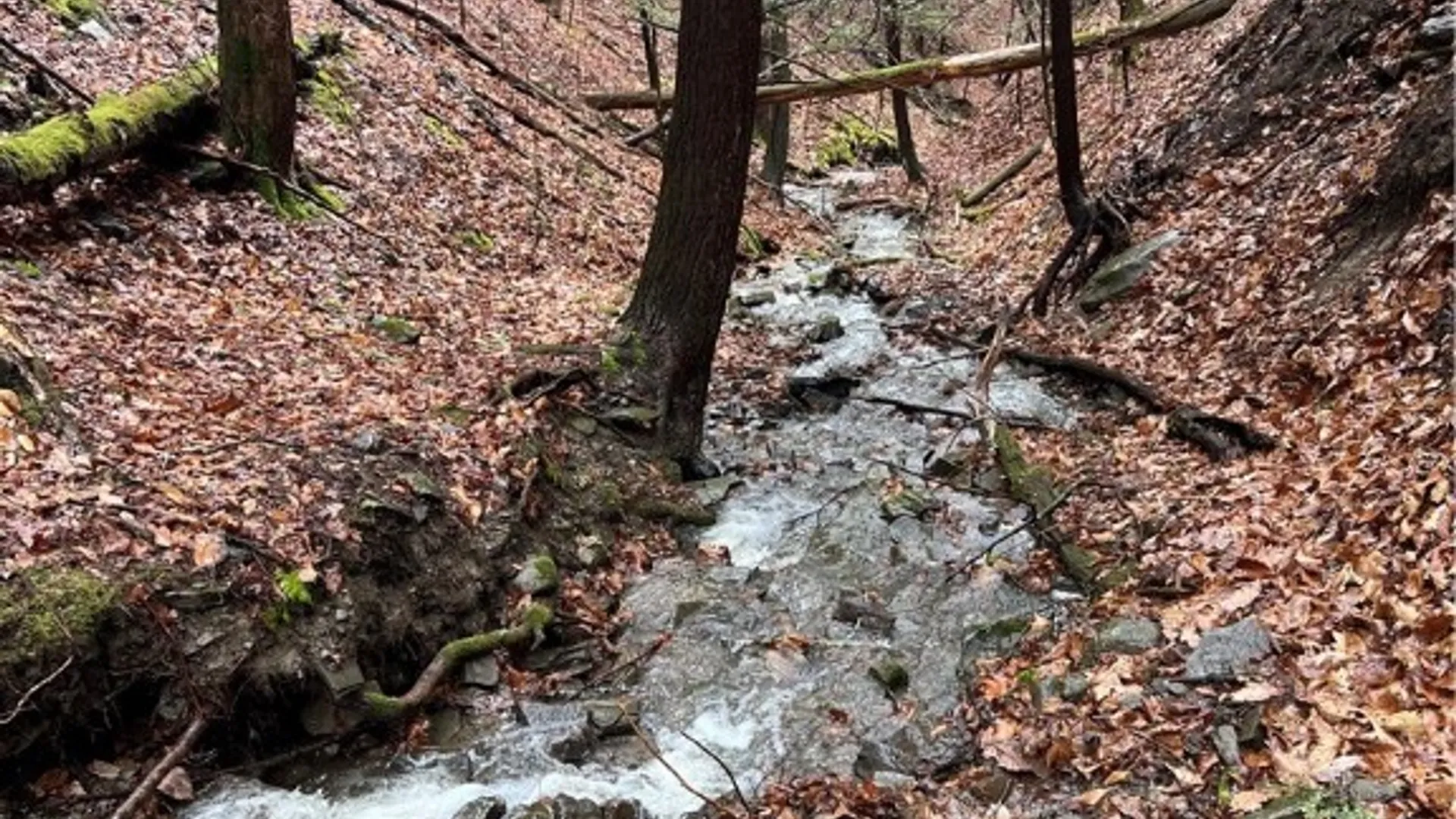 Property at 0 Reservior Hill Road, Candor, NY 13743 12