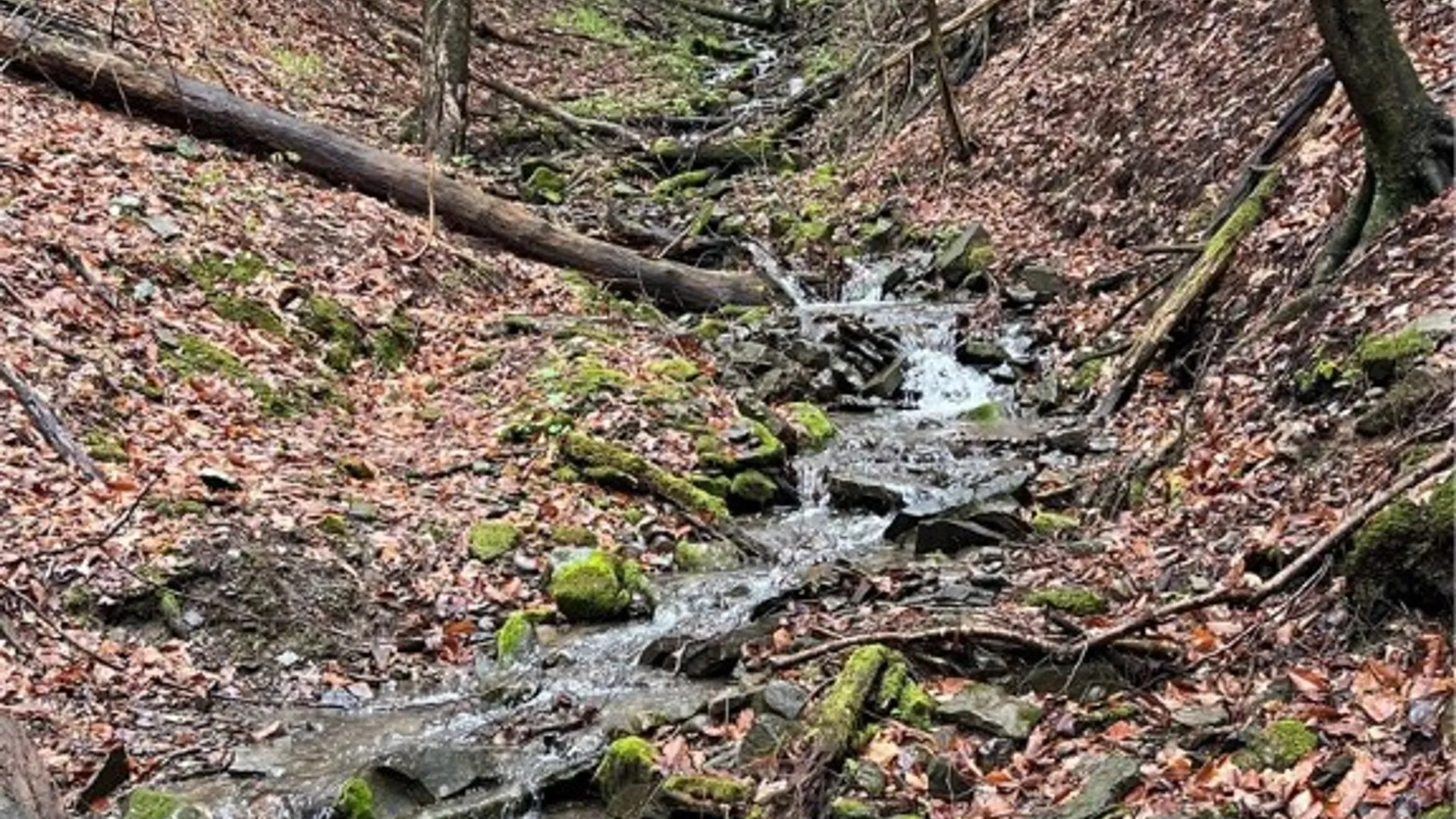 Property at 0 Reservior Hill Road, Candor, NY 13743 13