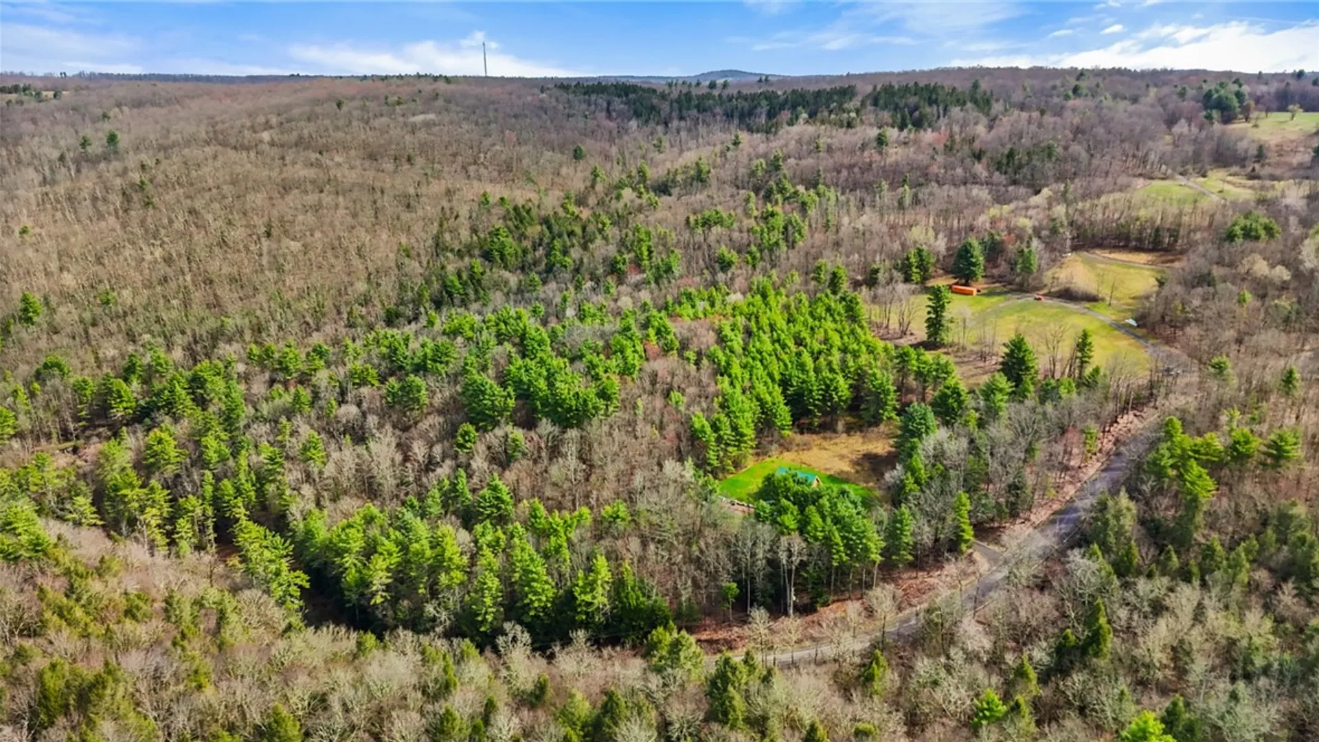 Property at 0 Reservior Hill Road, Candor, NY 13743 9