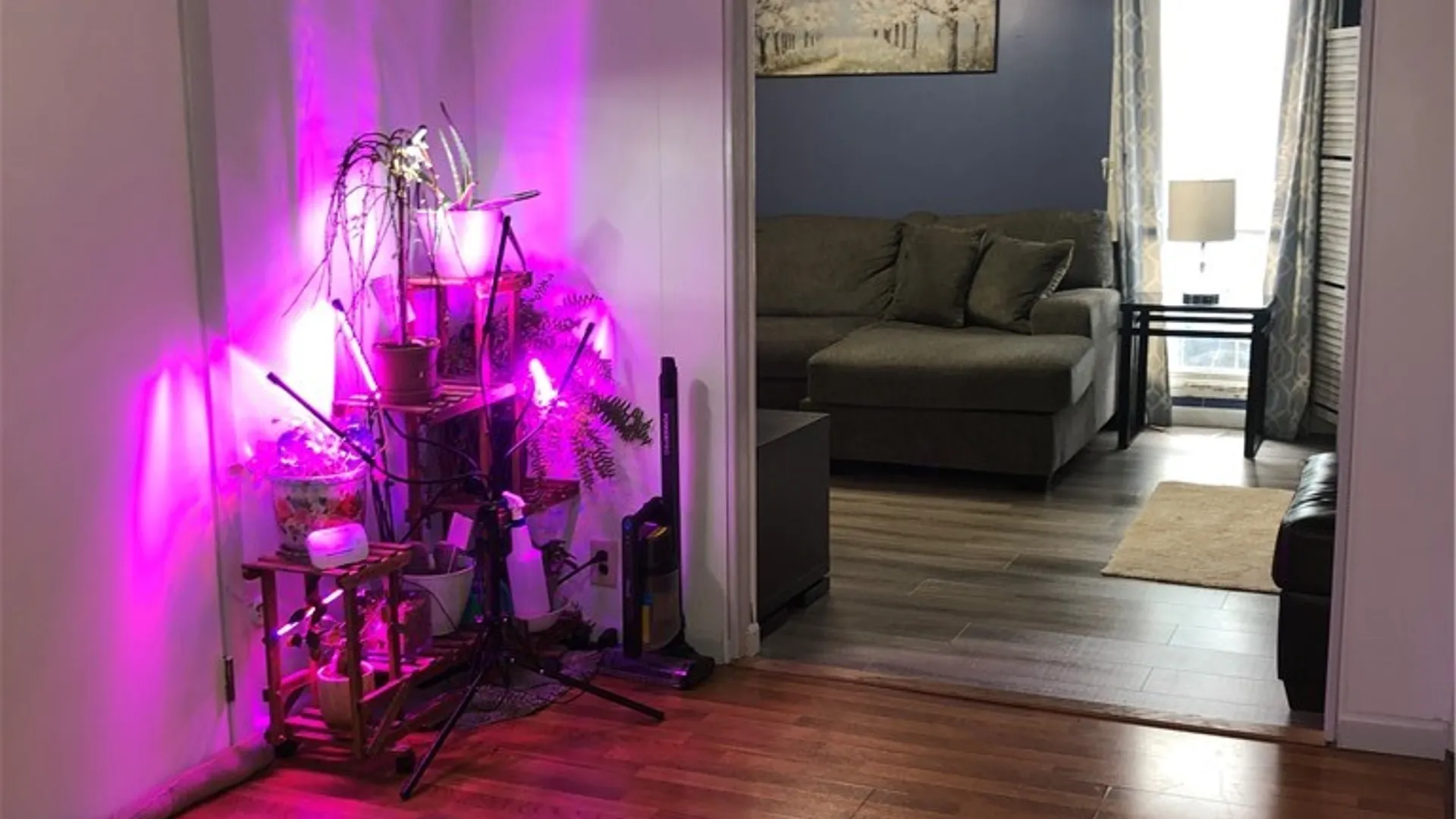 Property at 48 Main Street, Laurens, NY 13796 10