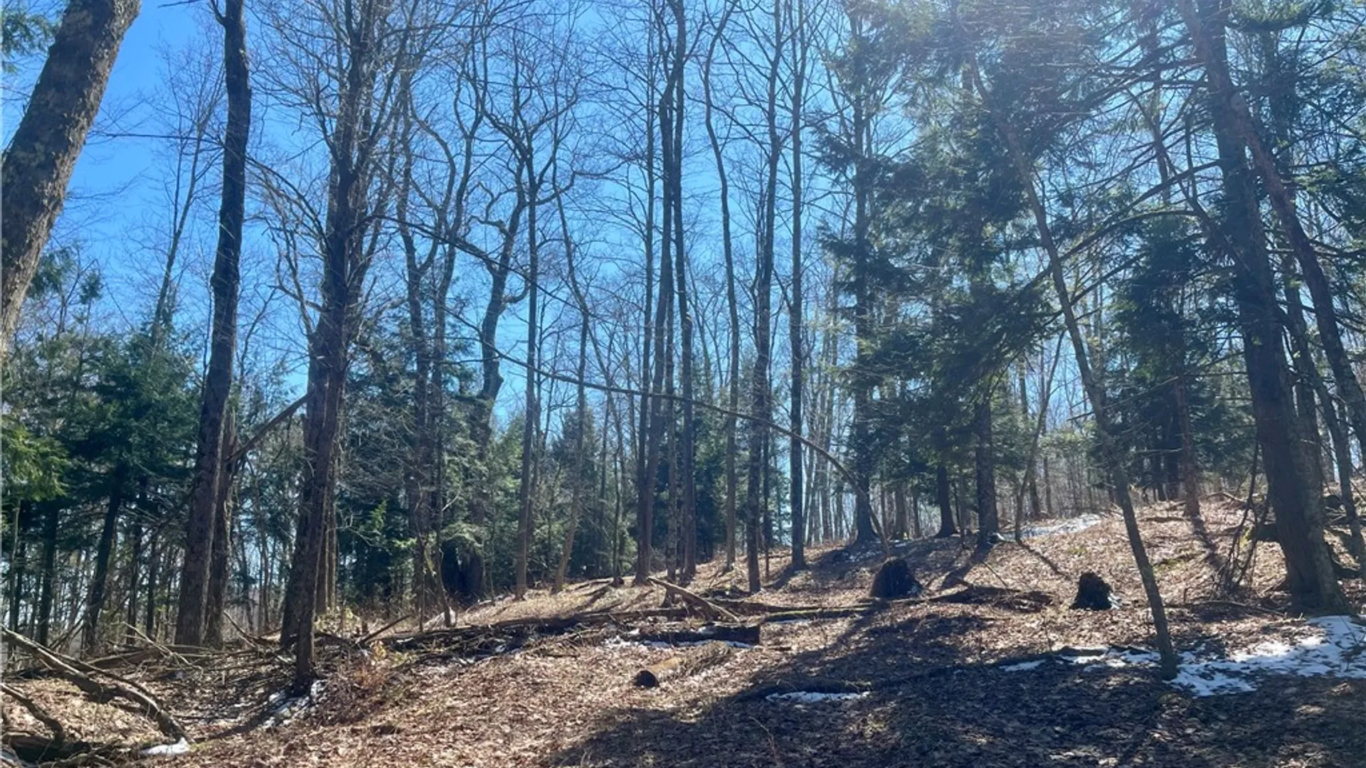 Property at Chlorinator Road, Hartwick, NY 13807 10