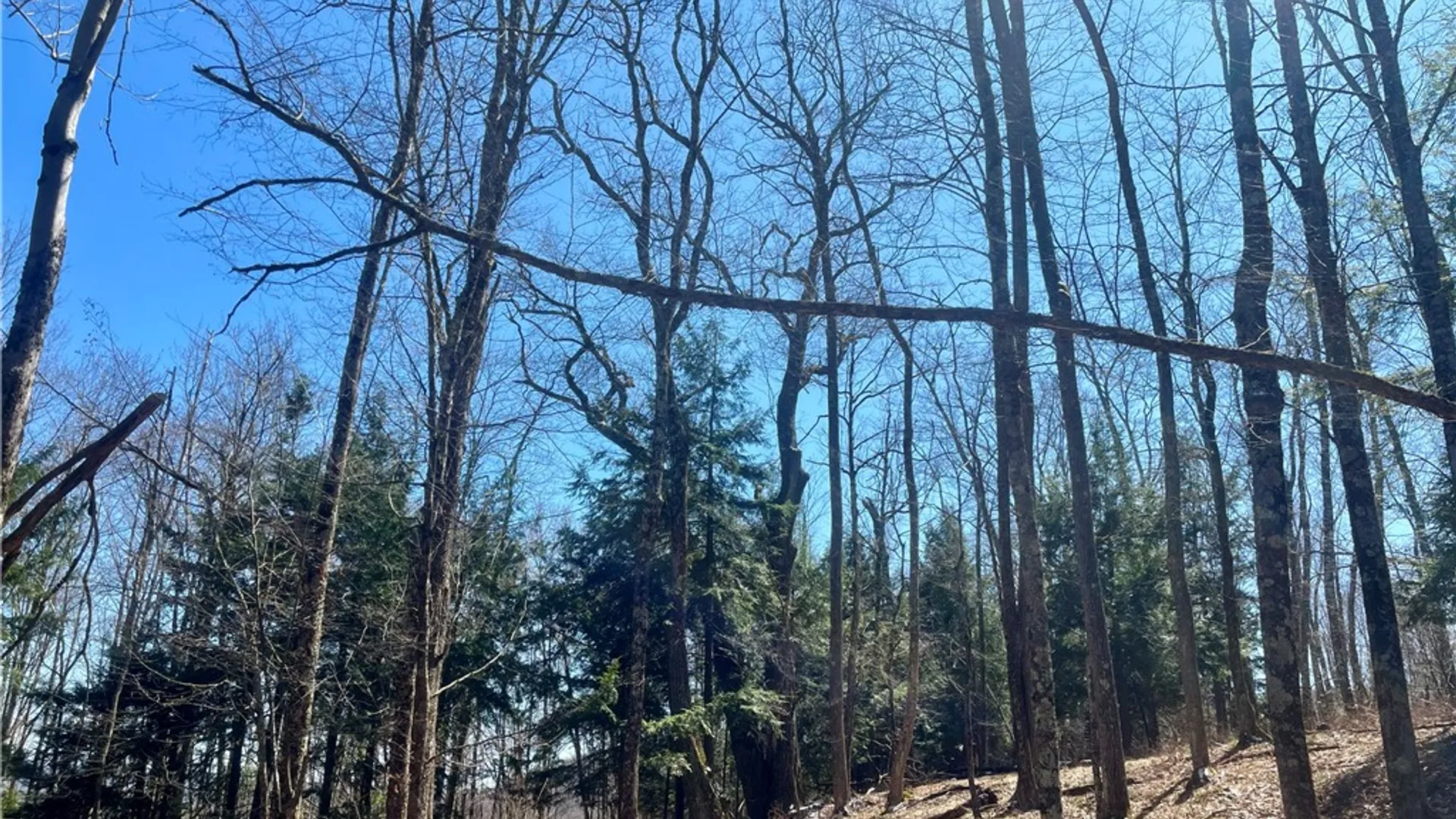 Property at Chlorinator Road, Hartwick, NY 13807 11