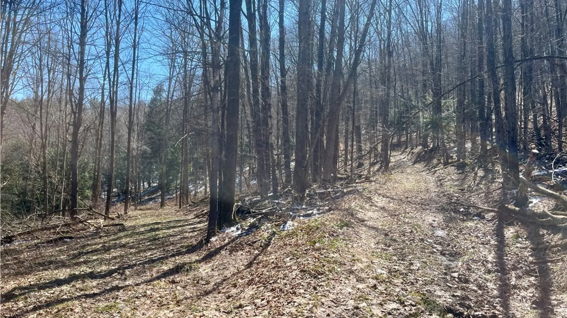 Property at Chlorinator Road, Hartwick, NY 13807 2