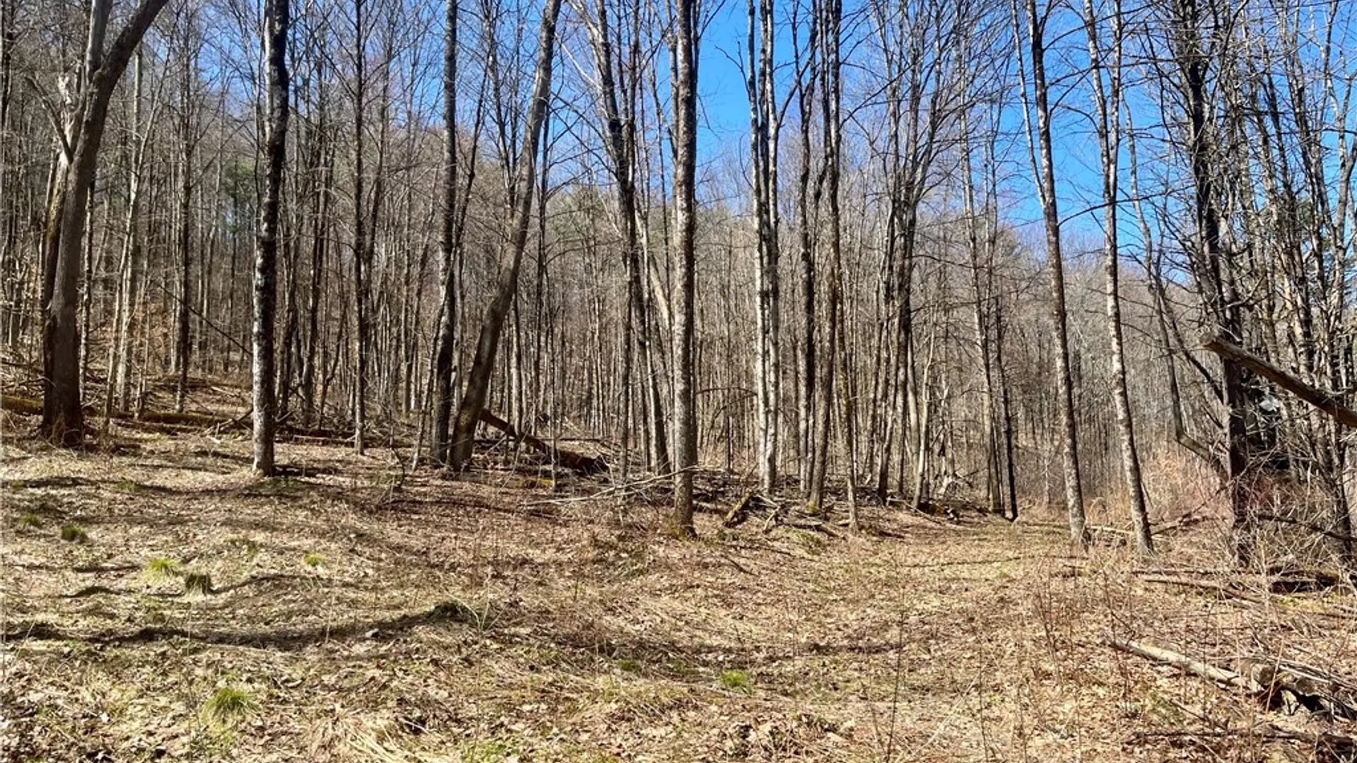 Property at Chlorinator Road, Hartwick, NY 13807 3