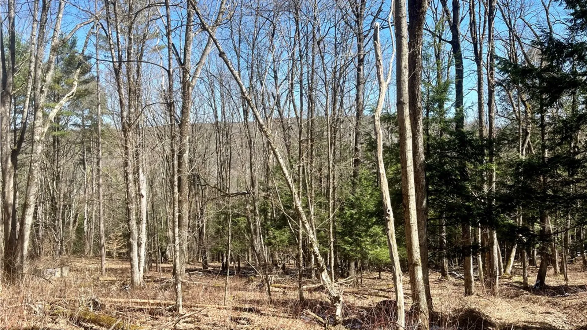 Property at Chlorinator Road, Hartwick, NY 13807 4