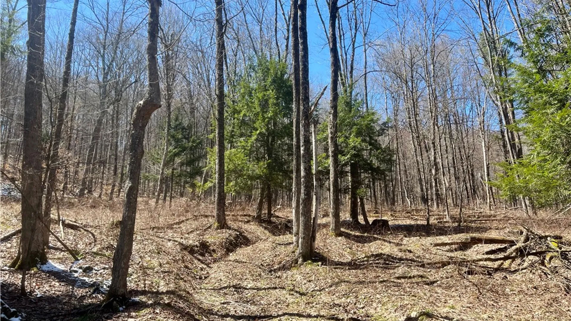 Property at Chlorinator Road, Hartwick, NY 13807 5