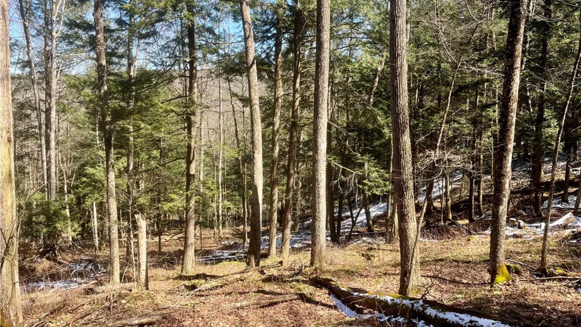 Property at Chlorinator Road, Hartwick, NY 13807 7