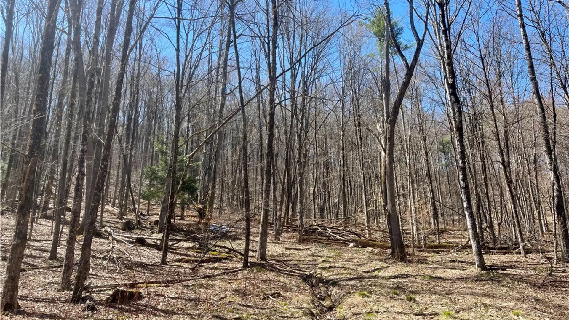 Property at Chlorinator Road, Hartwick, NY 13807 8