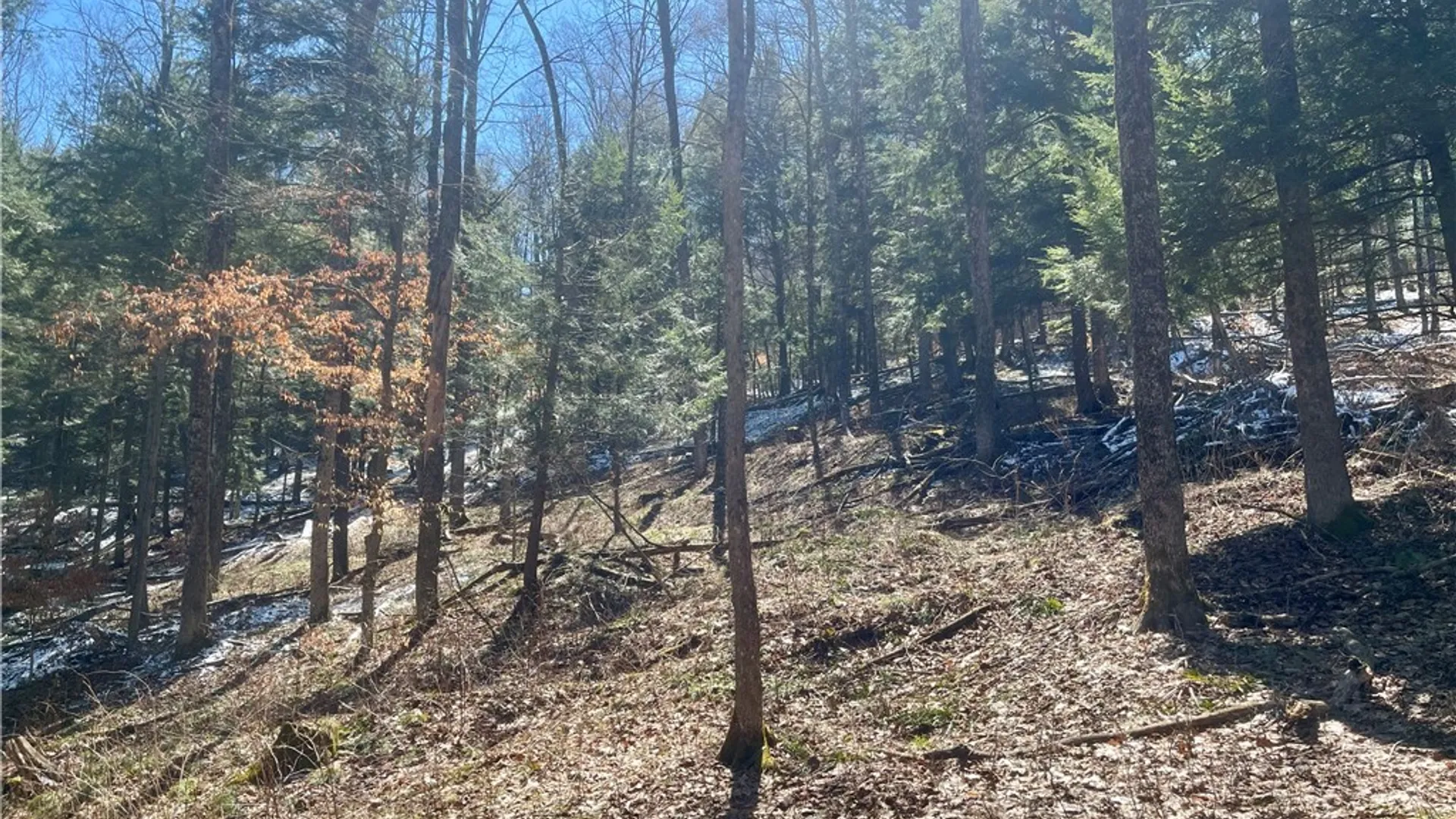 Property at Chlorinator Road, Hartwick, NY 13807 9