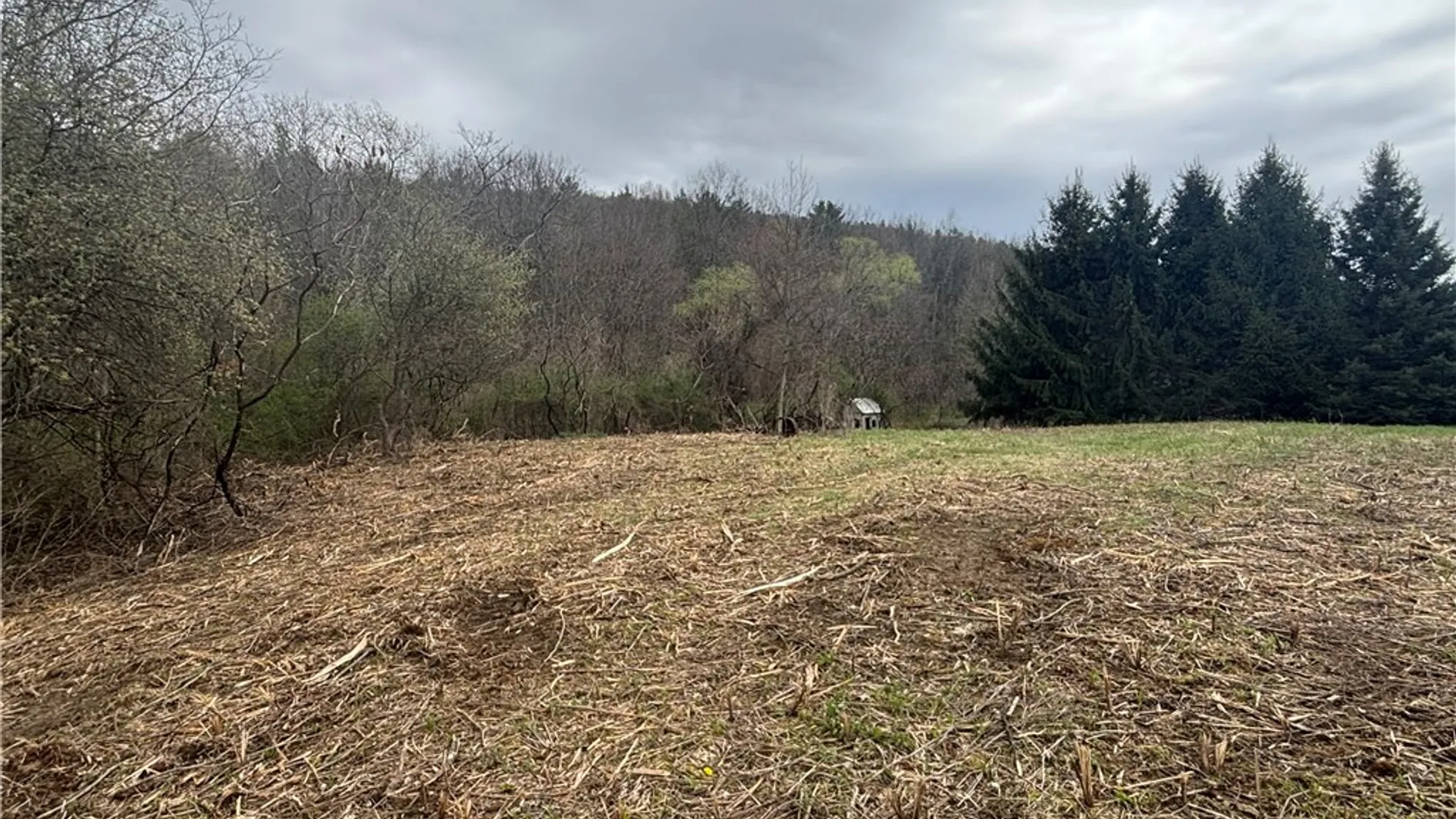 Property at 10212 State Route 36, Dansville, NY 14437 3