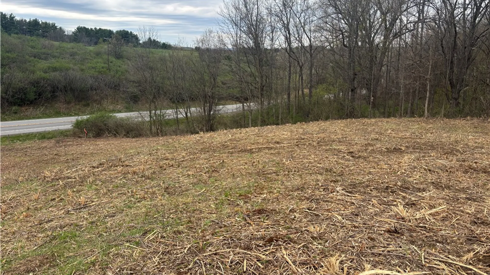 Property at 10212 State Route 36, Dansville, NY 14437 4