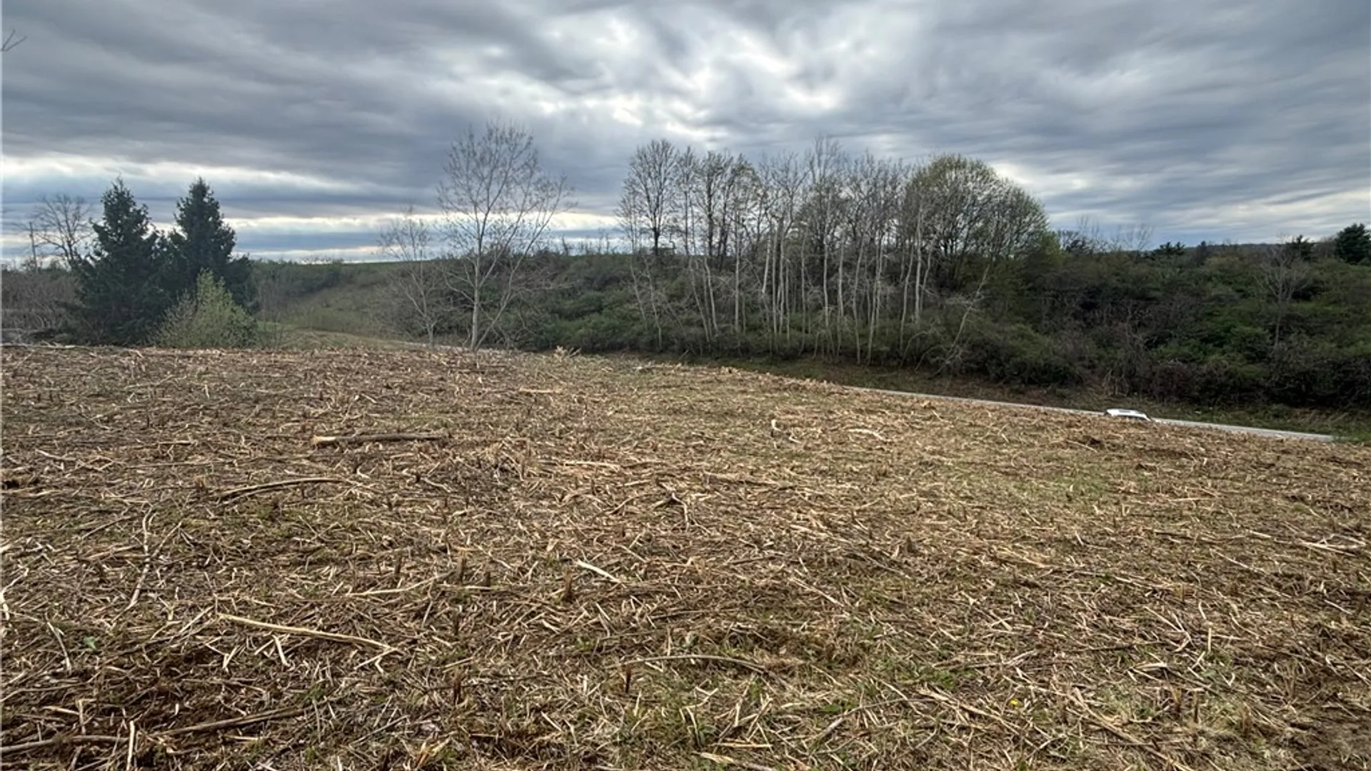 Property at 10212 State Route 36, Dansville, NY 14437 5